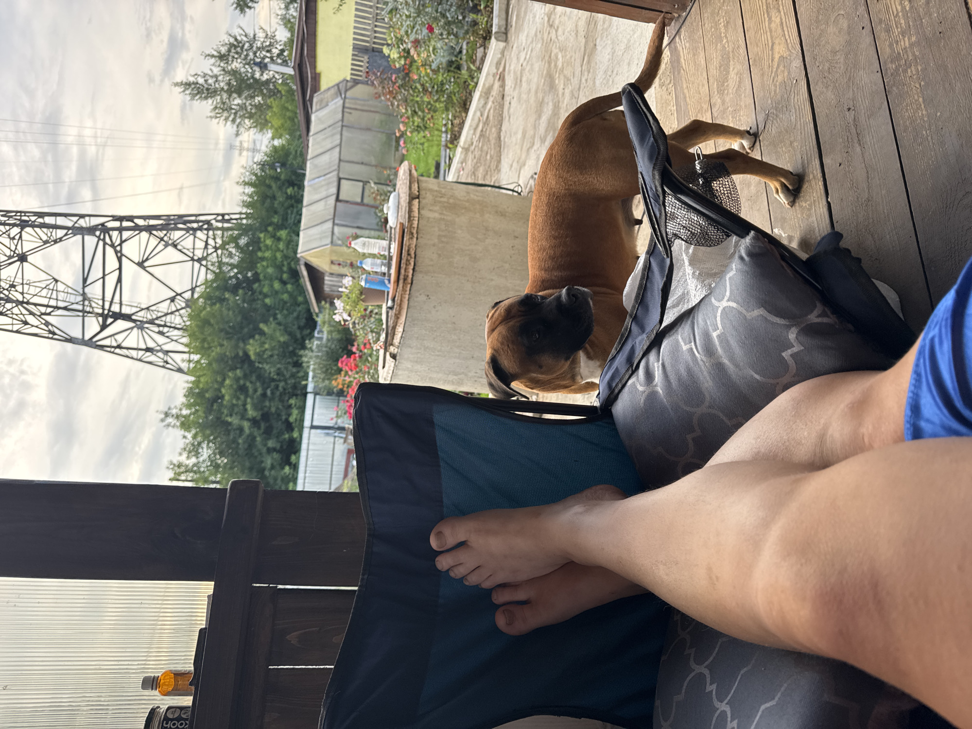 An adult is sitting on a chair on a wooden porch, their legs extended and bare feet crossed. The chair is blue and black, with a patterned cushion. To the right of the chair, a brown boxer dog with a black muzzle stands on the porch, looking towards the left of the frame. In the background, there is a greenhouse, a concrete structure, and flowering bushes. A tall metal power pylon is visible in the sky. The scene appears to be set in a suburban or rural area, consistent with the outskirts of Chaikovsky, Russia, characterized by private gardens and utility infrastructure.