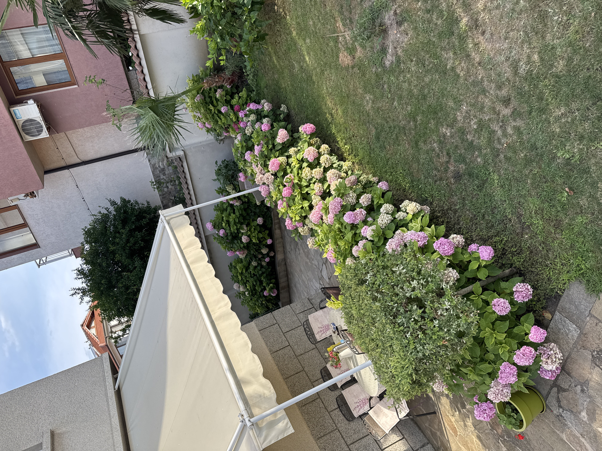 This image depicts a garden area outside a residential building, likely located in Sozopol, Bulgaria. A light-colored retractable awning extends over a stone patio where a table and four chairs are set. The chairs have cushions with a lavender floral pattern. On the table, a vase of flowers, a thermos, and a pair of sunglasses are visible.
The garden itself is characterized by a dense, curved border of hydrangeas in various shades of pink and white, interspersed with lush green foliage. A small, rounded green bush is prominently positioned in the foreground. To the left of the bush, a green planter contains a small plant with red flowers. Beyond the hydrangeas, more greenery and a palm tree are visible.
The residential buildings in the background have pink and grey facades, with wooden-framed windows and an air conditioning unit mounted on the pink building. The sky is partly cloudy, suggesting it is daytime. The ground is a mix of stone paving and grass, with some areas of the lawn appearing dry.