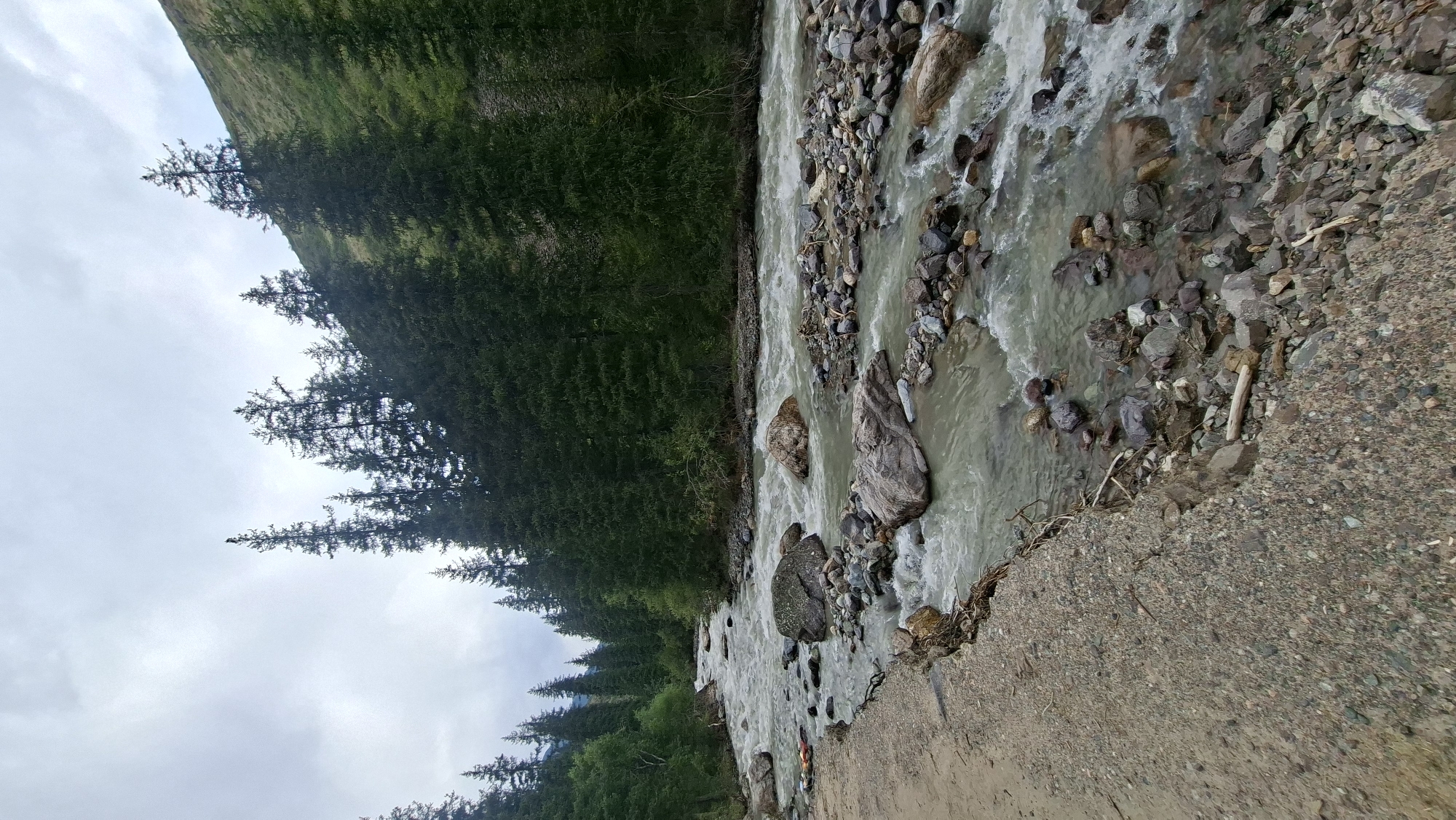 The image shows a wide, fast-flowing river in a mountainous, forested area. The riverbed is filled with numerous rocks of various sizes, and the water appears murky. The left bank of the river is a dirt path, eroded in some places, with debris from fallen trees and branches. On the right bank, a steep, grassy slope rises, dotted with evergreen trees. The sky is overcast with gray clouds. In the distance, more evergreen trees line the riverbanks. The scene does not depict the city of Batan, Kazakhstan, or any urban elements. There are no people or visible human activity in the image.
