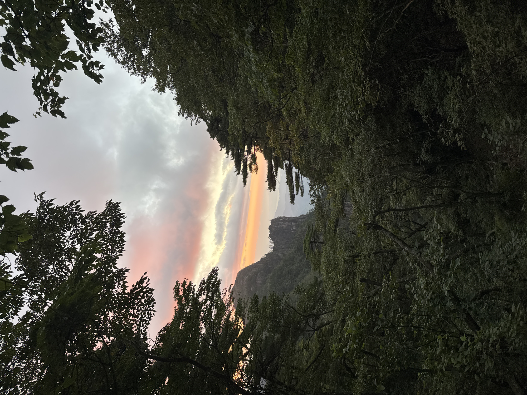 The image depicts a mountain landscape at dawn or dusk, likely in the Huangshan District of China, known for its dramatic peaks and lush vegetation. The foreground is dominated by dense, dark green foliage of trees and undergrowth, creating a framing effect that opens up to reveal the distant mountains. The sky above is a canvas of soft colors, with hues of pink, orange, and yellow from the setting or rising sun peeking through scattered, gray clouds. A prominent, sheer rock face stands in the middle ground, its rugged texture contrasting with the softer tones of the sky. The overall impression is one of natural beauty and tranquility, with the vibrant sky highlighting the silhouettes of the mountain range. There are no people or animals visible in the image. The scene appears to be a scenic overlook or trail within a mountainous region.