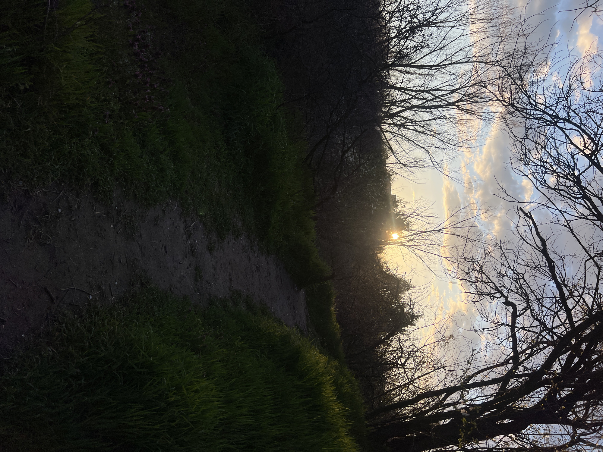 A dirt path, surrounded by grass, leads into a wooded area with bare trees under a sky with clouds and the sun shining through. The location is in Sofia, Bulgaria.
