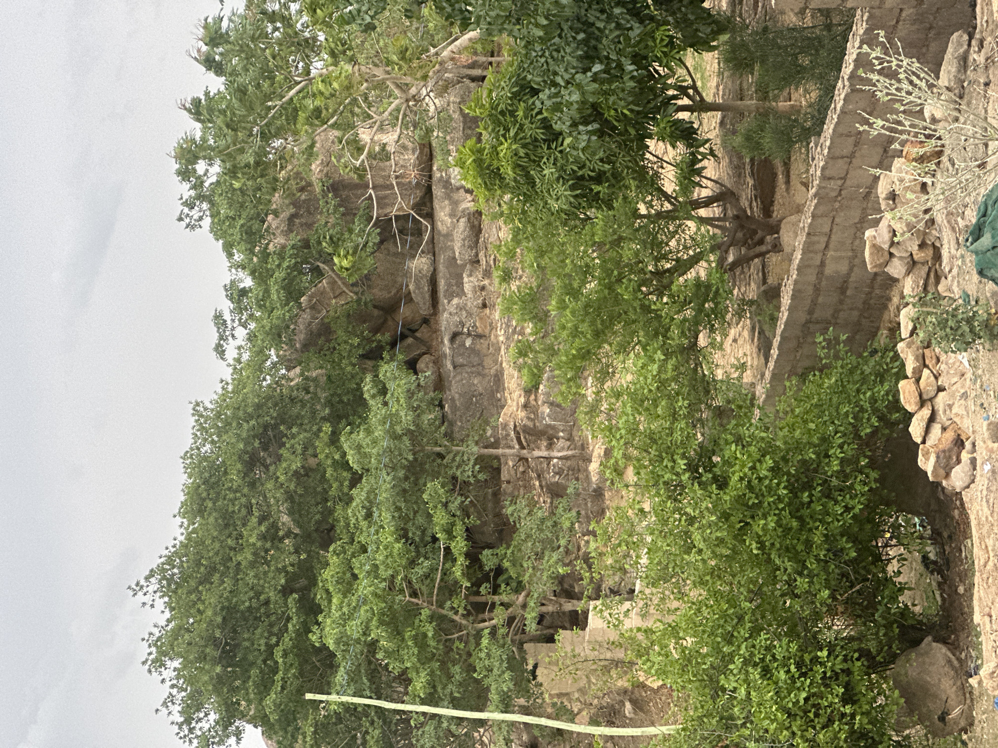 The image depicts a rocky landscape in what appears to be a rural or semi-rural area. A large rock formation is visible on the left side of the frame, partially covered with trees and vegetation. There's also a wall constructed of brick and stones in the mid to right side of the scene. A variety of green trees and bushes are scattered throughout the scene. The sky is overcast. While the prompt mentions Jos, Nigeria, there are no specific features in the image that explicitly confirm the location.