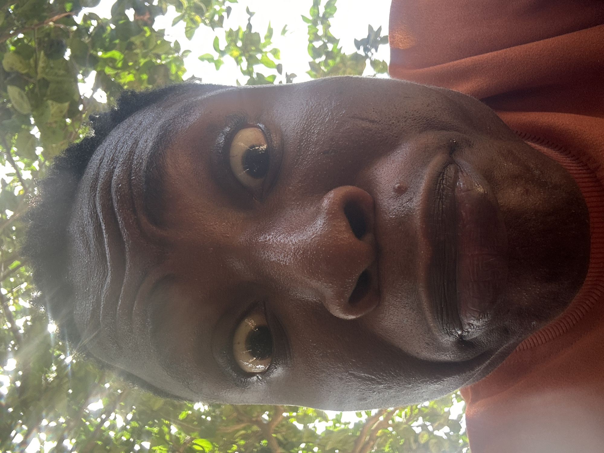 A close-up, upward-angled photograph shows a person's face outdoors, with tree foliage visible in the background. The individual has dark skin, short, dark hair, and prominent facial features including eyes, nose, and lips. The face appears shiny, possibly due to moisture. The person is wearing an orange garment partially visible on the right side of the frame. The exact location in the city of Unknown, Unknown is undeterminable.