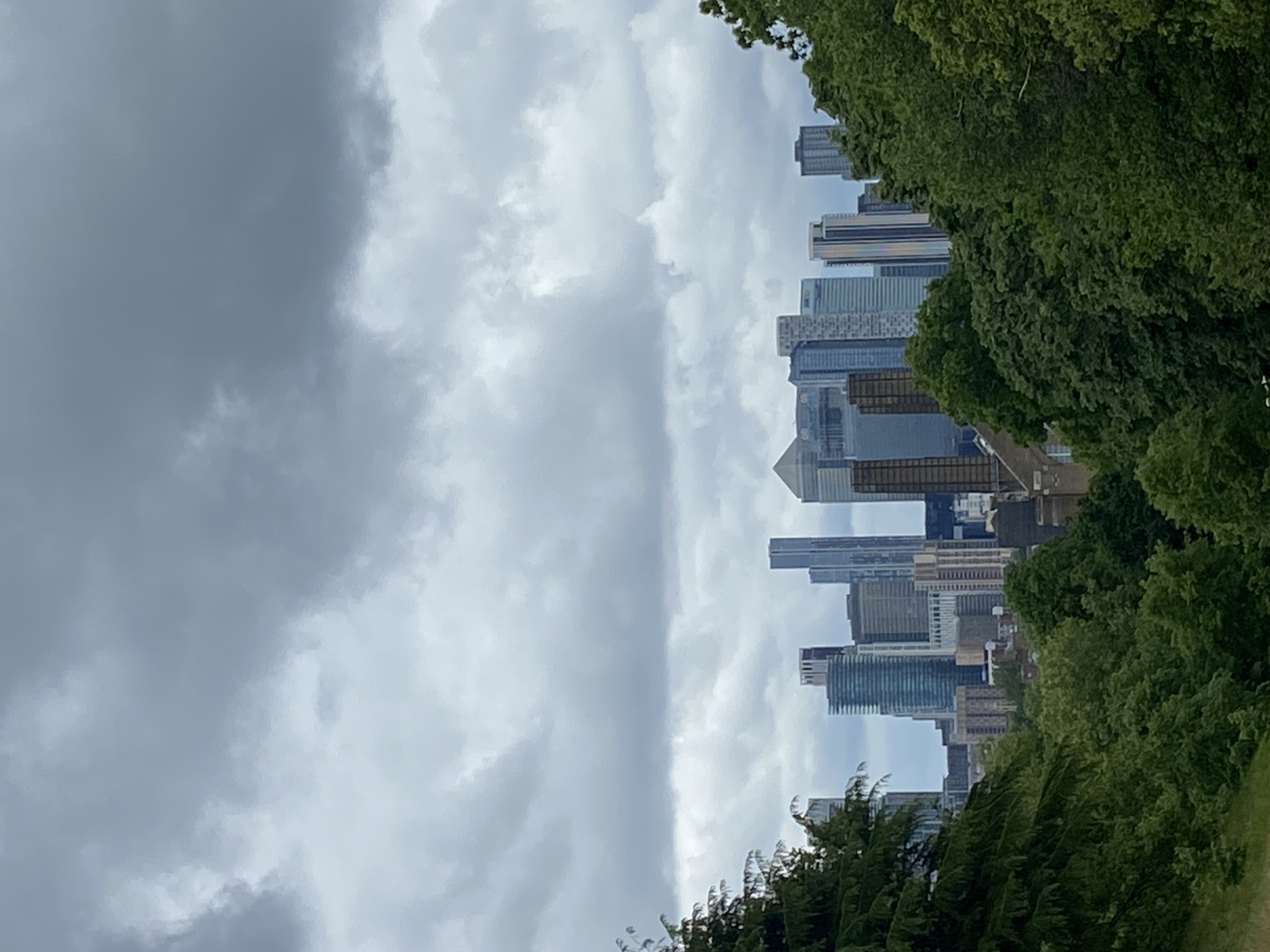 The image depicts the cityscape of London, United Kingdom, specifically the Canary Wharf district, observed through a landscape of foliage and under a cloudy sky. The modern skyscrapers of Canary Wharf, including the prominent pyramid-topped One Canada Square, rise above lower buildings and are visible from a distance, framed by dense green trees on both sides. The overcast sky casts a subdued light on the scene, and the trees suggest the vantage point is likely from an elevated area, potentially a park or hill within the city.
