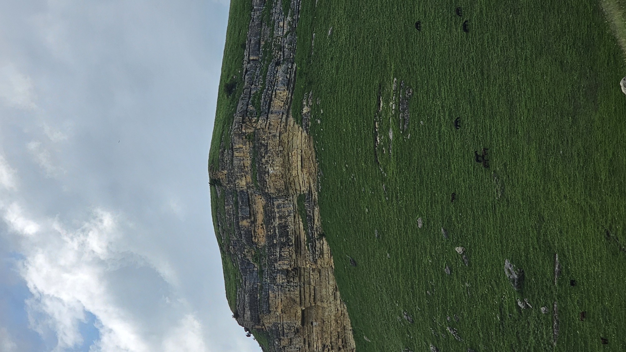 The image shows a rocky cliff face covered in green grass, under a cloudy sky. Several horses are grazing on the grassy slopes of the cliff. The scene appears to be a natural landscape. The prompt mentions the city of Красный Курган, Russia, but there are no identifying markers in the image to confirm this location.
