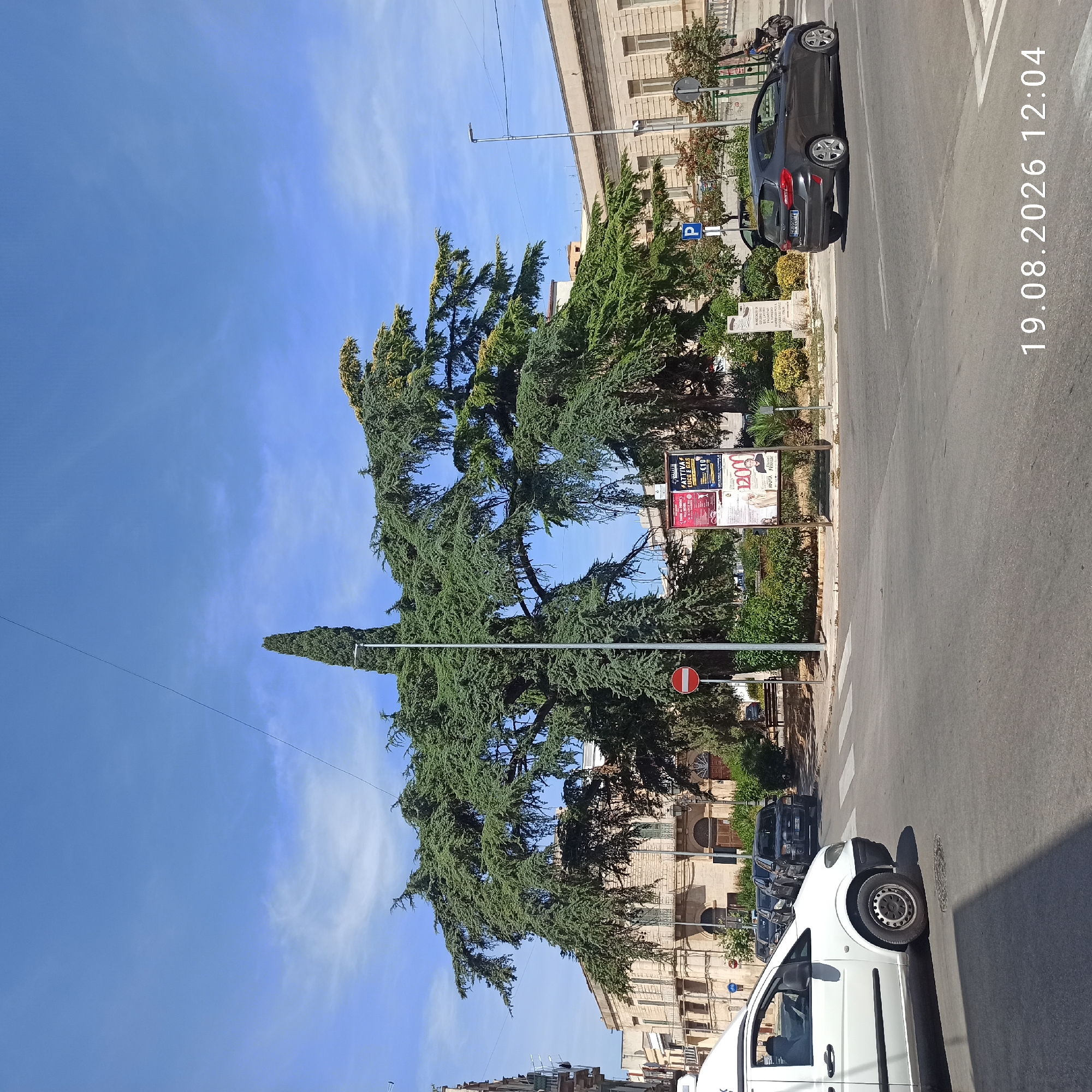 A wide-angle shot captures a public square in Ruvo di Puglia, Italy, on a clear day with a bright blue sky. The foreground features a street intersection with a white delivery van on the left, facing right. A dark grey hatchback car is seen at the intersection on the right, moving away from the viewer. A pedestrian crossing is visible.
Dominating the mid-ground is a large, mature cedar tree with expansive, sprawling branches casting shadows on the pavement. Behind the tree, a historic, light-colored stone building with arched doorways and windows stands, suggesting a municipal or cultural building. Several other vehicles, including a black SUV and other cars, are parked or driving on the street in front of the building.
A tall, slender cypress tree stands to the left of the cedar. A street lamp is positioned near the cypress. Two information boards, one with posters and another with a memorial plaque, are situated in front of the vegetation. A red and white circular sign with a horizontal bar, indicating a prohibition, is placed on a pole to the left of the cypress tree. The timestamp "19.08.2026 12:04" is superimposed on the lower right corner of the image. The environment appears to be a well-maintained urban setting.