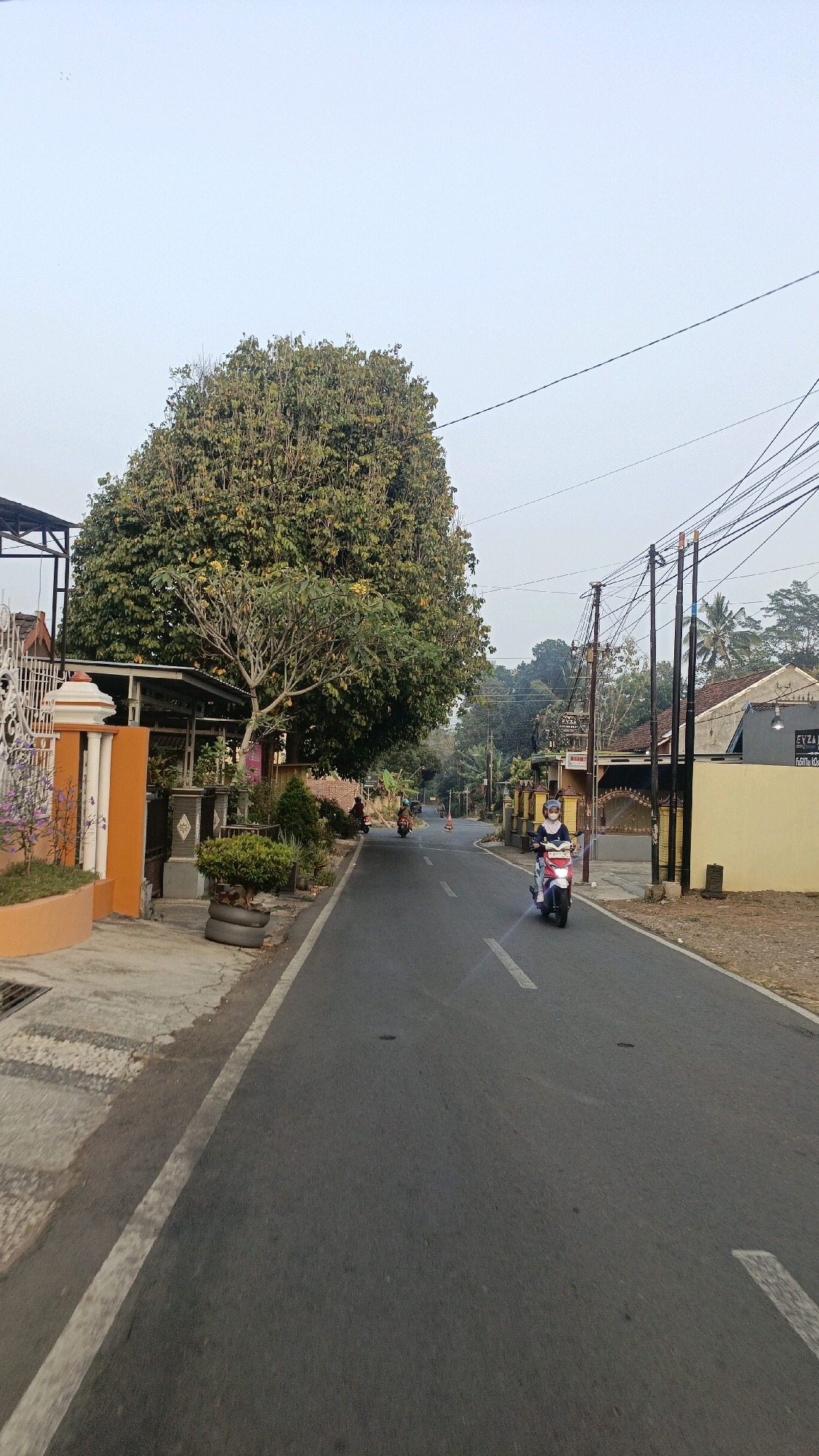 The image depicts a street scene in Salatiga, Indonesia, under a clear, pale sky. A paved road runs through the center of the frame, with a white line marking the edge of the lane. On the right side of the road, a person is riding a white and red scooter, wearing a blue jacket and a helmet. Further down the road, other scooters are visible in the distance. The right side of the street is lined with houses, some with yellow facades and tiled roofs, and utility poles with numerous wires. A prominent yellow wall with a sign that reads "EYZA KEBAB" is also present. The left side of the road features a sidewalk with decorative white fencing, an orange pillar, and lush green trees, including a large, mature tree with dense foliage dominating the left portion of the image. Smaller plants and potted shrubs are also present along the sidewalk. The environment appears to be a residential area with a mix of natural vegetation and man-made structures.