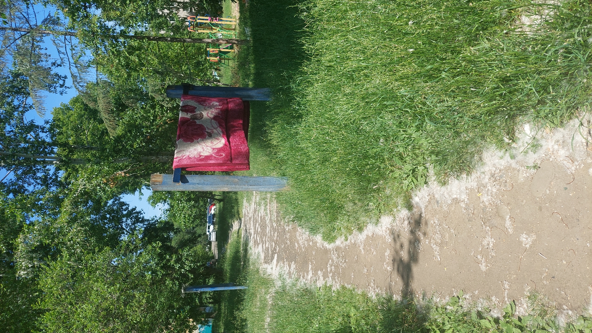 A blanket with a floral pattern is draped over a blue wooden structure in Komsomolsk-on-Amur, Russia. The blanket is red with pink and white flowers. The wooden structure consists of two upright posts with a horizontal beam connecting them. The scene is outdoors, with a dirt path leading away from the viewer, flanked by tall green grass. In the background, there are trees and a playground. Several cars are parked in the distance, and a building is partially visible to the left. The sky is clear and blue.