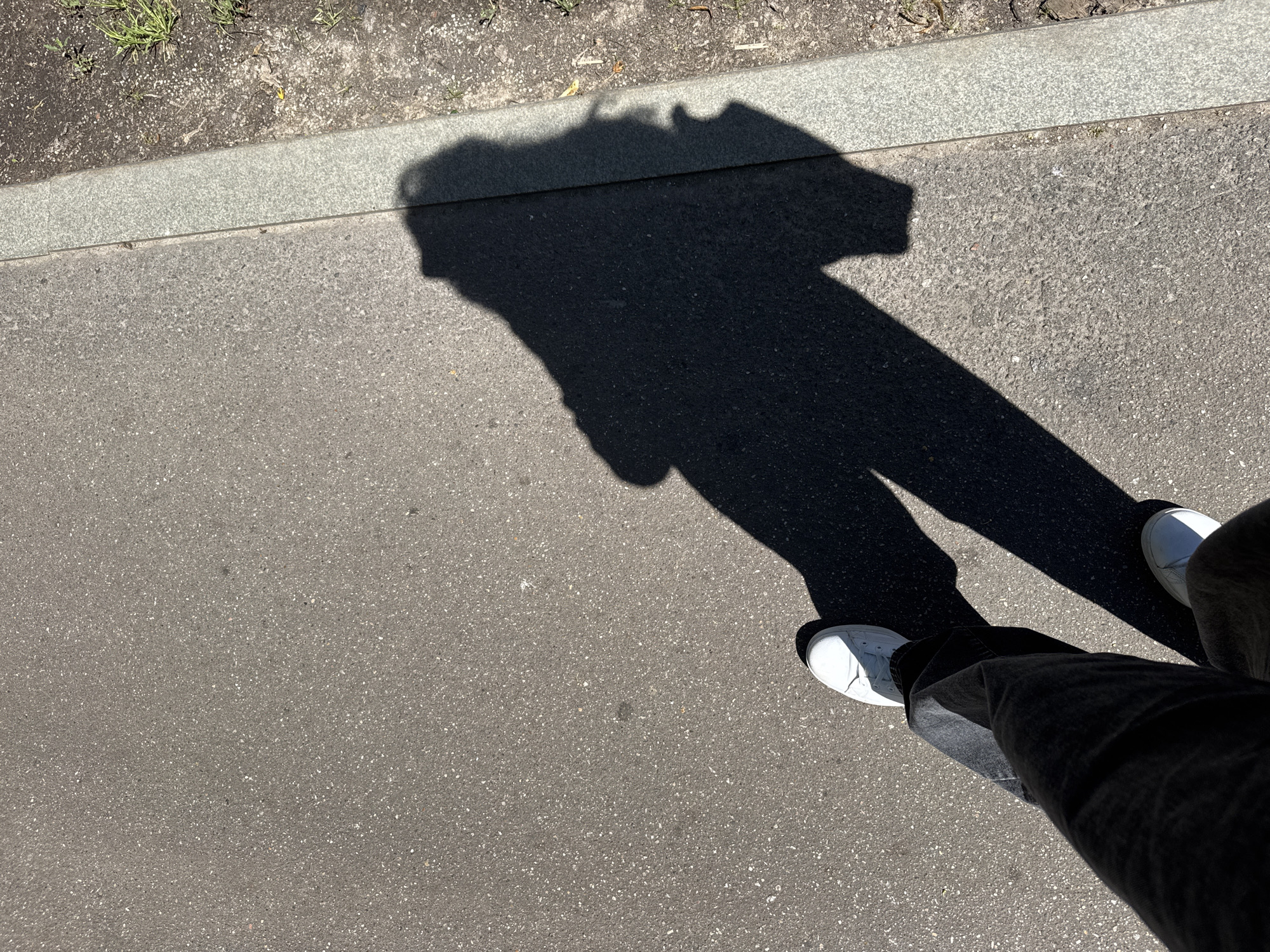 The image shows a shadow of a person walking on a paved surface, possibly a sidewalk or path, in Zelenograd, Russia. The shadow stretches across the gray, asphalt-like ground, which is speckled with lighter colored particles. To the right of the paved surface, there is a strip of lighter gray material, resembling concrete or granite, bordering an area of dark soil with sparse green vegetation and some dry leaves. The perspective is from above, looking down at the feet of the person and their elongated shadow cast by sunlight. The person is wearing dark pants and white sneakers, and the shadow indicates they are holding something in their right hand.