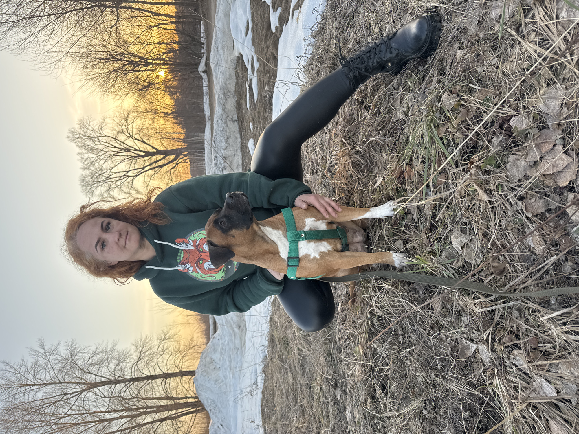 A woman and a boxer dog are in a landscape with melting snow near trees in Chaikovsky, Russia. The woman is kneeling, wearing black leggings, a dark green hooded sweatshirt, and black boots. She is holding a brown and white boxer dog wearing a green harness. The leash is on the ground. The sun is setting or rising in the background. The ground is covered with dry grass and fallen leaves. Patches of snow are visible.