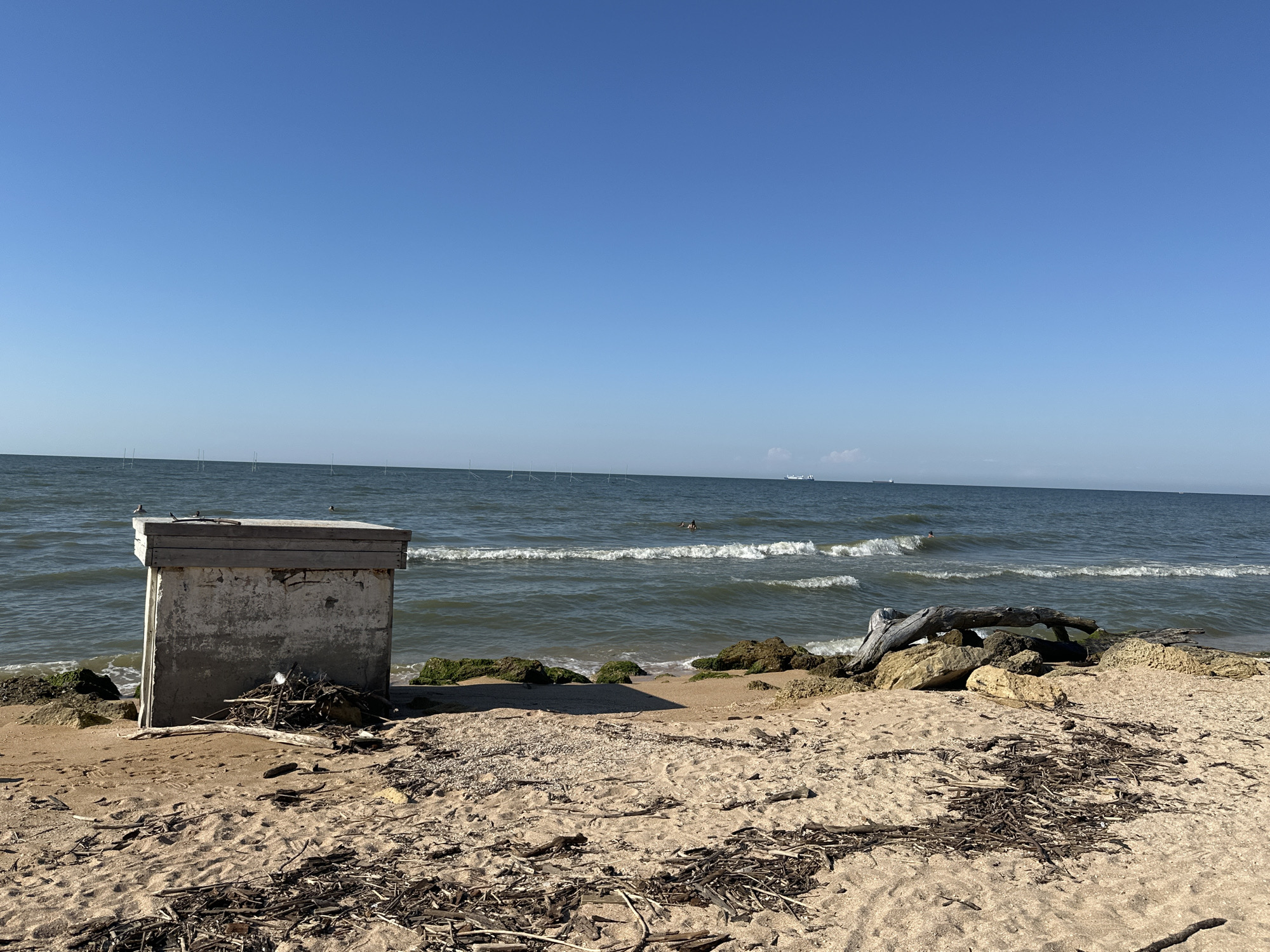 A wide shot captures a beach scene in Golubitskaya, Russia, on a clear, sunny day. The foreground is dominated by sandy beach littered with dried seaweed and driftwood. To the left, a weathered, concrete structure with a wooden top stands near the water's edge, with a small pile of debris at its base. The middle ground features a rocky shoreline with patches of green moss, and the gentle waves of the sea create white foam as they break. In the distance, several people are visible swimming in the water, and on the horizon, a ship can be seen sailing. The sky above is a vast expanse of clear blue.