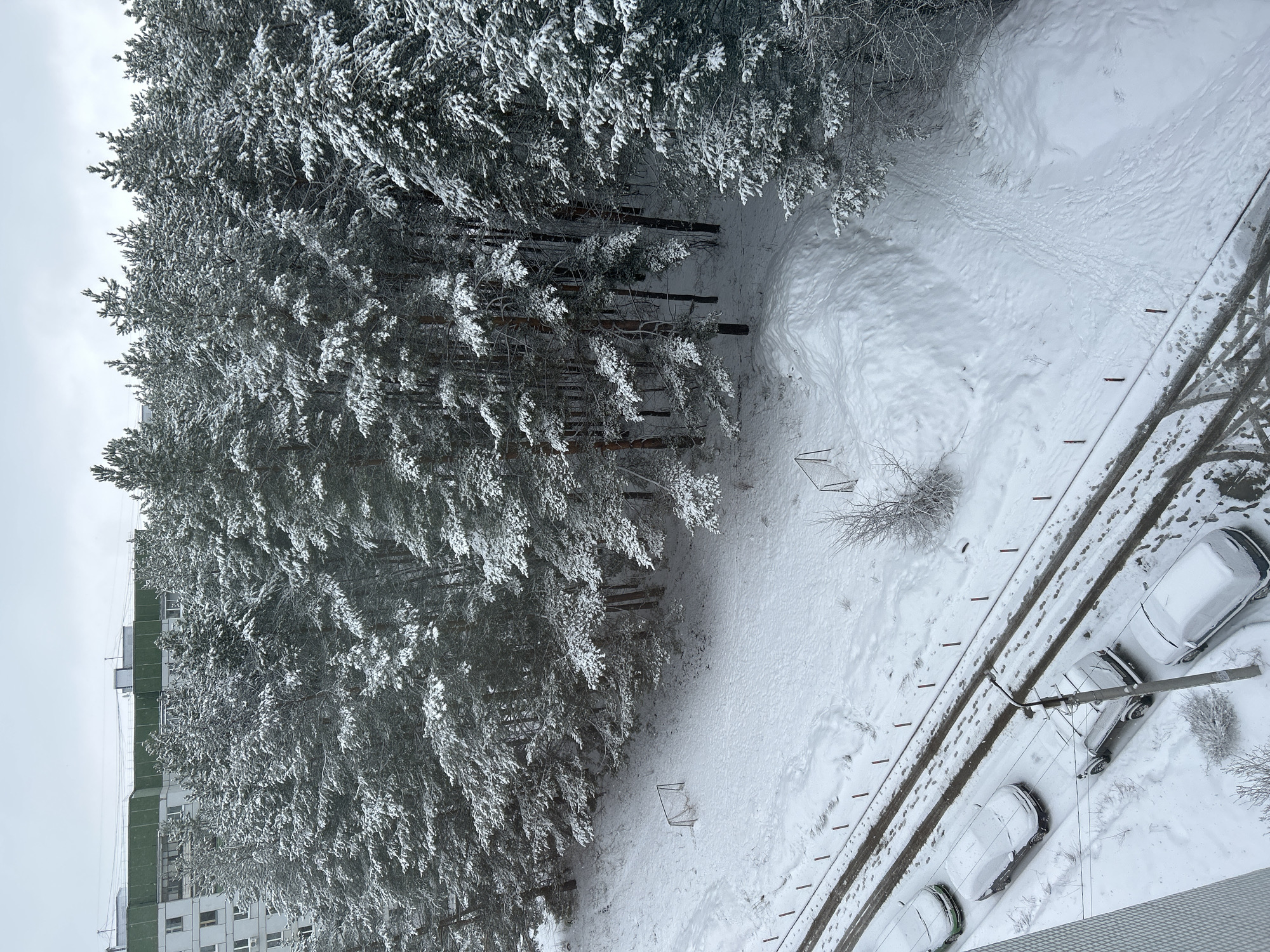 The image depicts a winter scene in Chaikovsky, Russia. The view is from an elevated position, possibly an apartment building. Snow covers everything. A line of snow-covered trees forms the left side of the image. To the right of the trees is an open area covered in snow with visible footprints. In the lower right corner, cars parked on a road are also covered in snow. Overhead electrical or telephone lines are visible running parallel to the road. A building is partially visible in the lower left corner.