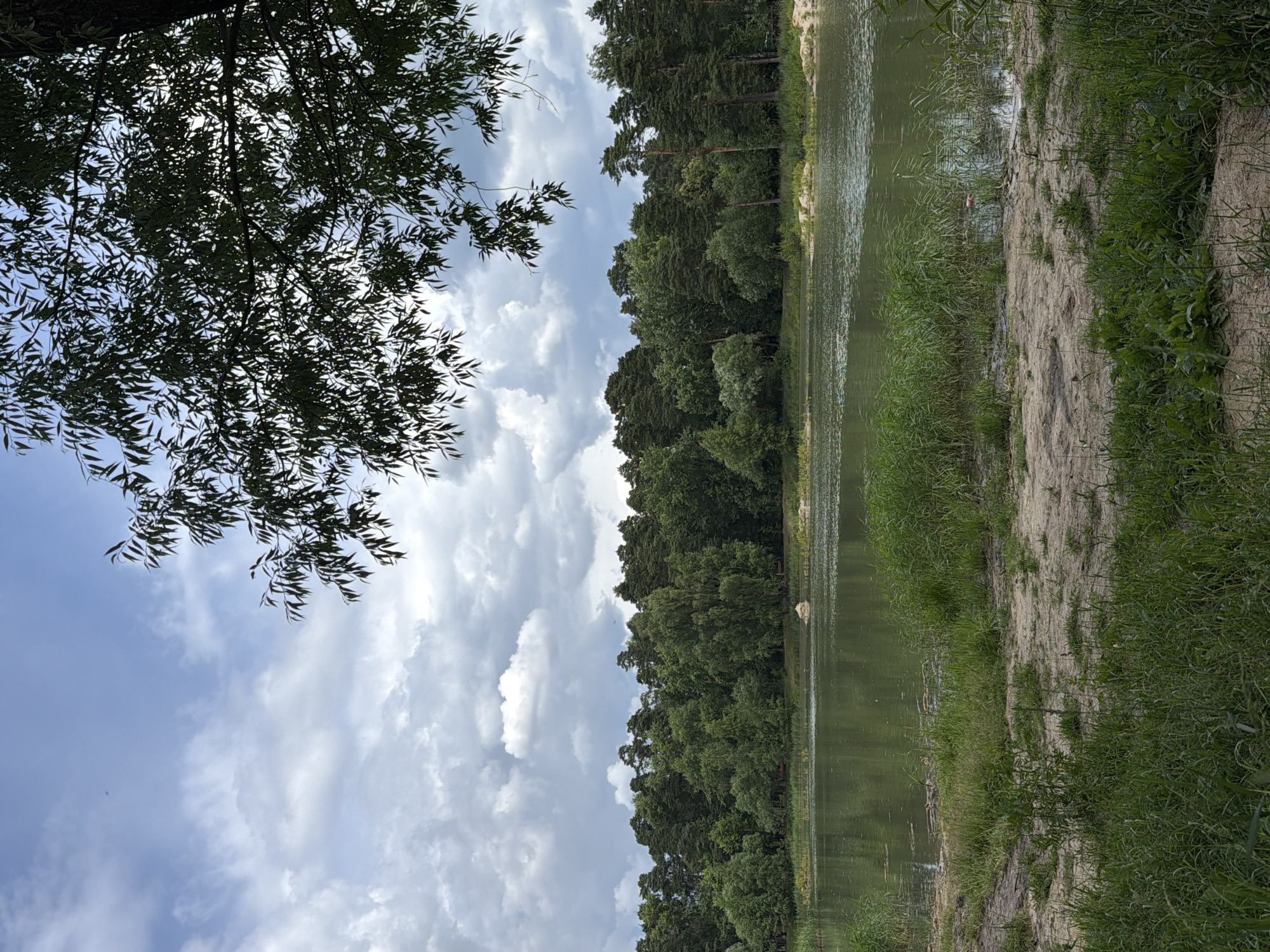 The image depicts a serene natural landscape with a body of water in the foreground, bordered by lush green vegetation and a dense forest in the background. The sky is overcast with dramatic clouds, suggesting a possibly temperate or cool climate. The scene appears to be a public park or recreational area. While the image is taken in Bykovo, Russia, it does not contain any specific landmarks or human presence that would allow for further identification of the exact location within the city.