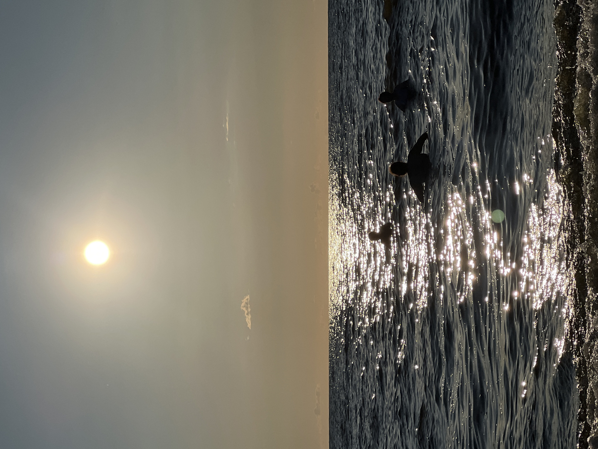In an outdoor scene, three people are partially submerged in dark, choppy water. The sun, a bright, large orb, is high in the pale sky, casting shimmering reflections across the water's surface. The horizon line is clearly defined, separating the water from the sky. The water is dark and appears to be deep, with small waves breaking near the foreground. The people are silhouetted against the bright sky, with their heads and shoulders visible above the water. The lighting suggests it is either dawn or dusk. The location is unknown.