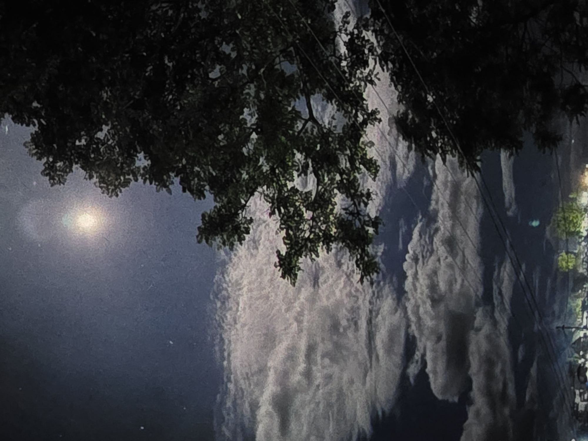 The image depicts a nighttime scene dominated by a dark sky illuminated by a bright, diffused moon. Wispy clouds are scattered across the sky, some appearing brighter due to the moonlight. The silhouette of a large tree with dense foliage is prominent on the right side of the frame, its branches extending into the sky. In the lower part of the image, telephone wires are visible, stretching horizontally. Further down, faint lights suggest a distant urban or suburban area. The overall impression is one of a serene, moonlit night with elements of nature and infrastructure. The location of Dubno, Ukraine, is not discernible from the visual information provided in the image.