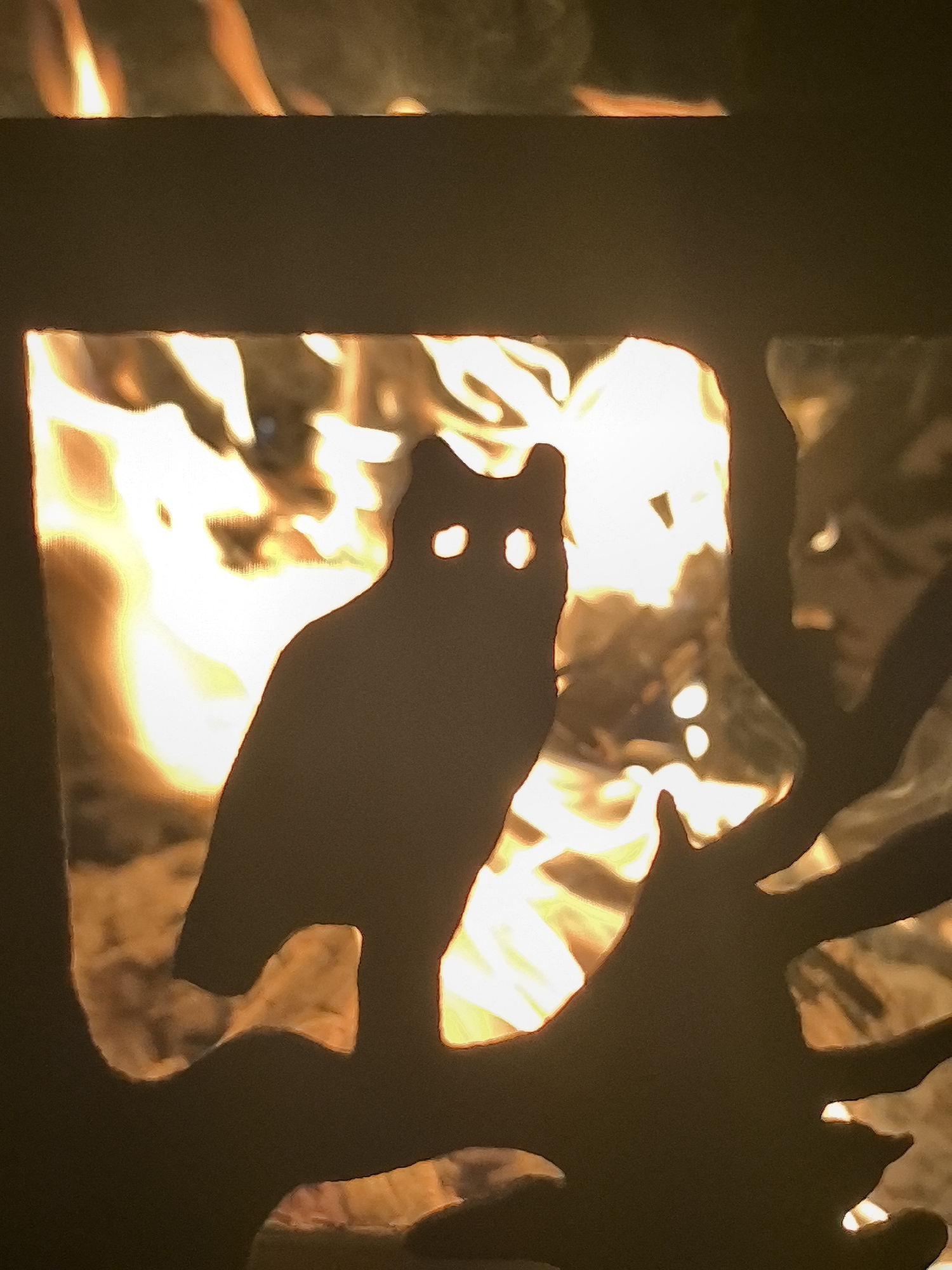 This image is an outdoor shot of a silhouette of an owl sitting on a branch against a backdrop of flames. The silhouette is dark brown and appears to be made of metal, with cutouts for the owl's eyes. The flames are a bright orange and yellow, indicating a fire. The scene is likely from Taldykorgan, Kazakhstan, suggesting this could be a fire pit or a decorative metal art piece used in an outdoor setting. There are no people visible in the image.