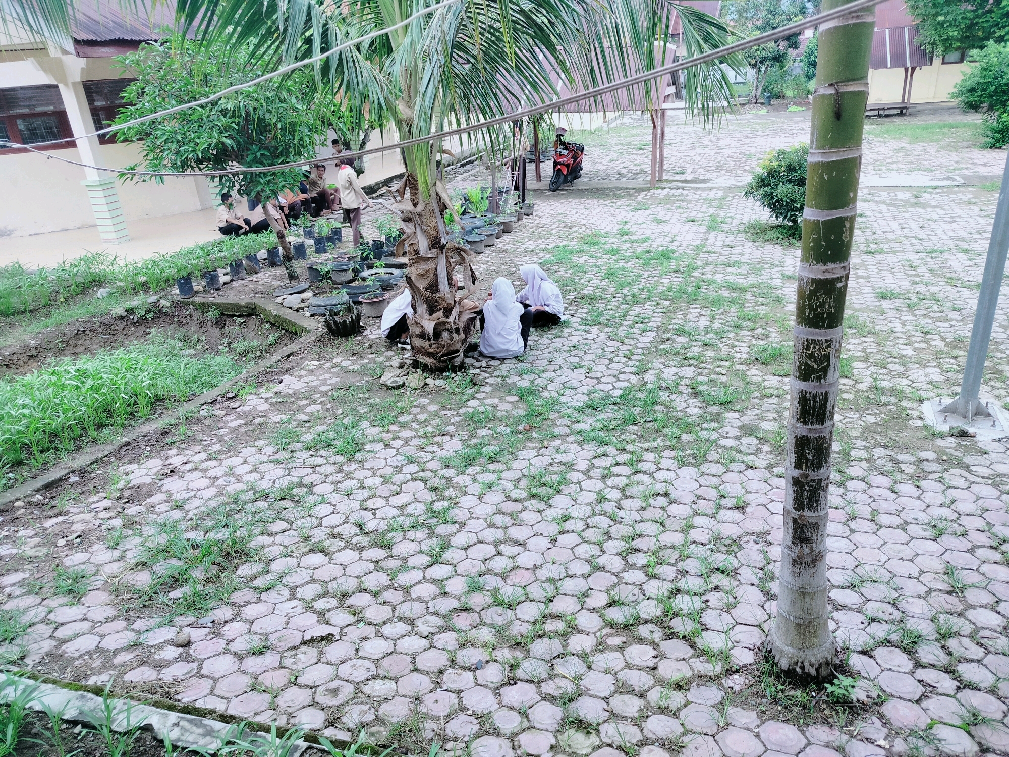 Memory