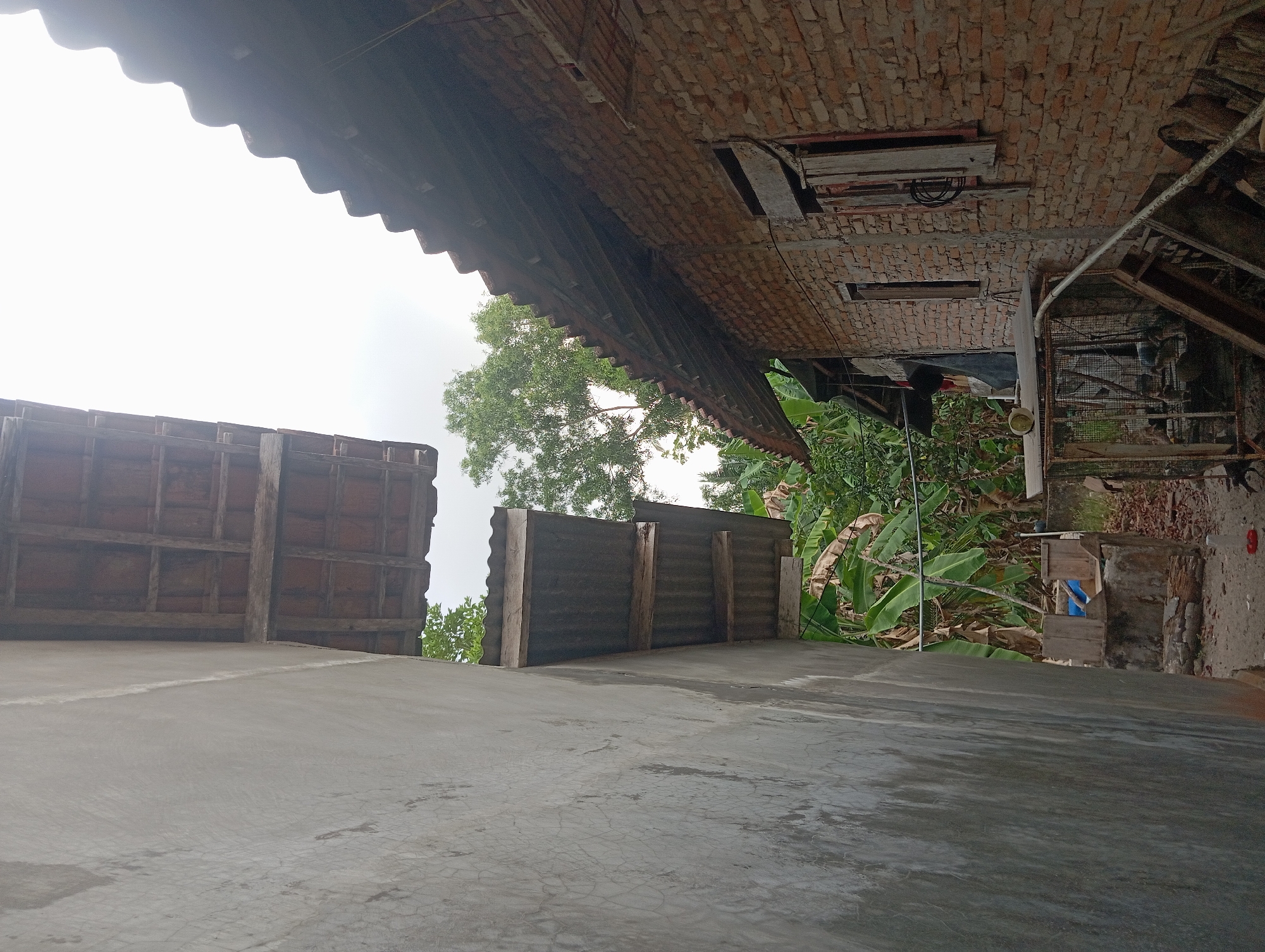 The image depicts an outdoor scene between two buildings with a clear sky overhead. The building on the left is a grey concrete structure with a rough, textured finish. Its roof is partially visible at the top, constructed with terracotta tiles supported by wooden beams. To the right of this building, a corrugated metal roof extension supported by wooden planks is visible.
The building on the right is constructed of red brick. Its roof is made of terracotta tiles, also supported by visible wooden beams. This building has at least two window openings, one with wooden shutters that are partially open.
In the background, lush green foliage, including what appears to be banana plants, is abundant. There are also some wooden structures and what looks like a metal cage. The ground is a mixture of dirt and fallen leaves. The overall impression is of a rural or semi-rural environment. The mention of Dente Teladas, Indonesia, suggests this scene is located in that region. There are no people clearly visible in the image.