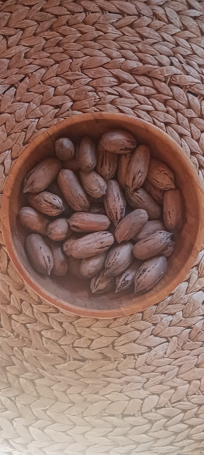 A circular, light brown wooden bowl rests centrally on a woven mat composed of natural, beige-brown fibers, arranged in a diagonal or herringbone pattern. The bowl contains numerous whole, shelled pecans. Each pecan is ovoid, featuring a light to medium brown shell with irregular, darker longitudinal striations. No individuals are present, and no actions or interactions are depicted. The scene is evenly illuminated. This image depicts a scene located in Forest Hills, Spain.