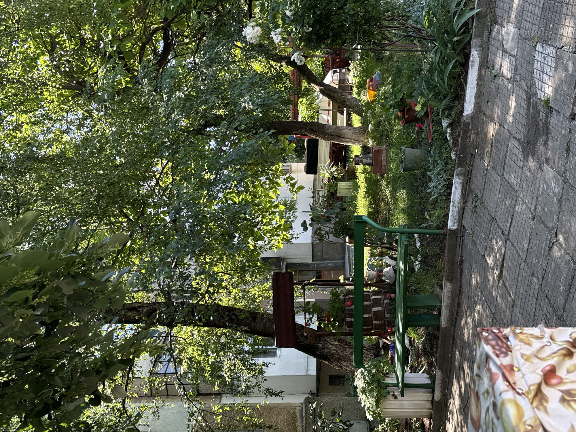 The image depicts a sunlit courtyard with lush greenery, situated in the city of Vratsa, Bulgaria. In the foreground, a paved area with a patterned surface is visible, partially covered by a cloth with a fruit motif. To the left, a white planter filled with lush green foliage stands beside a dark green metal bench. Behind the bench, a large tree with a textured bark dominates the scene, with its branches extending upwards and casting dappled shadows.
Beneath the tree, a wooden structure with a dark plank across the top is suspended from metal poles. Several potted plants and decorative items, including what appear to be ceramic mushrooms, are arranged around the base of the tree. A stack of used tires, some decorated with patterns, serves as a base for a small potted plant.
In the background, a multi-story building with light-colored facades and visible windows is partially obscured by the dense foliage of the trees. A white trailer with a dark cover is parked further back, alongside a red fence. Further to the right, a white-flowered bush adds a touch of color to the scene. The overall impression is that of a well-tended, tranquil outdoor space within an urban setting.