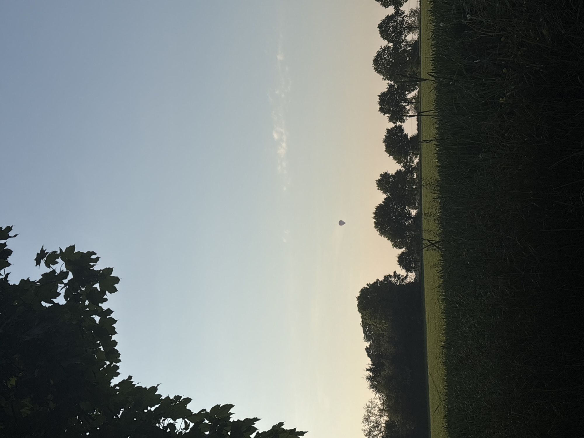 The image depicts a rural scene, likely at dawn or dusk due to the soft lighting. In the sky, a hot air balloon is visible. The landscape consists of a field and trees, with foliage present in the foreground. The location appears to be in a rural area near Mönchengladbach, Germany, based on the landscape features and the presence of the hot air balloon, a popular activity in the region. No people are visible.