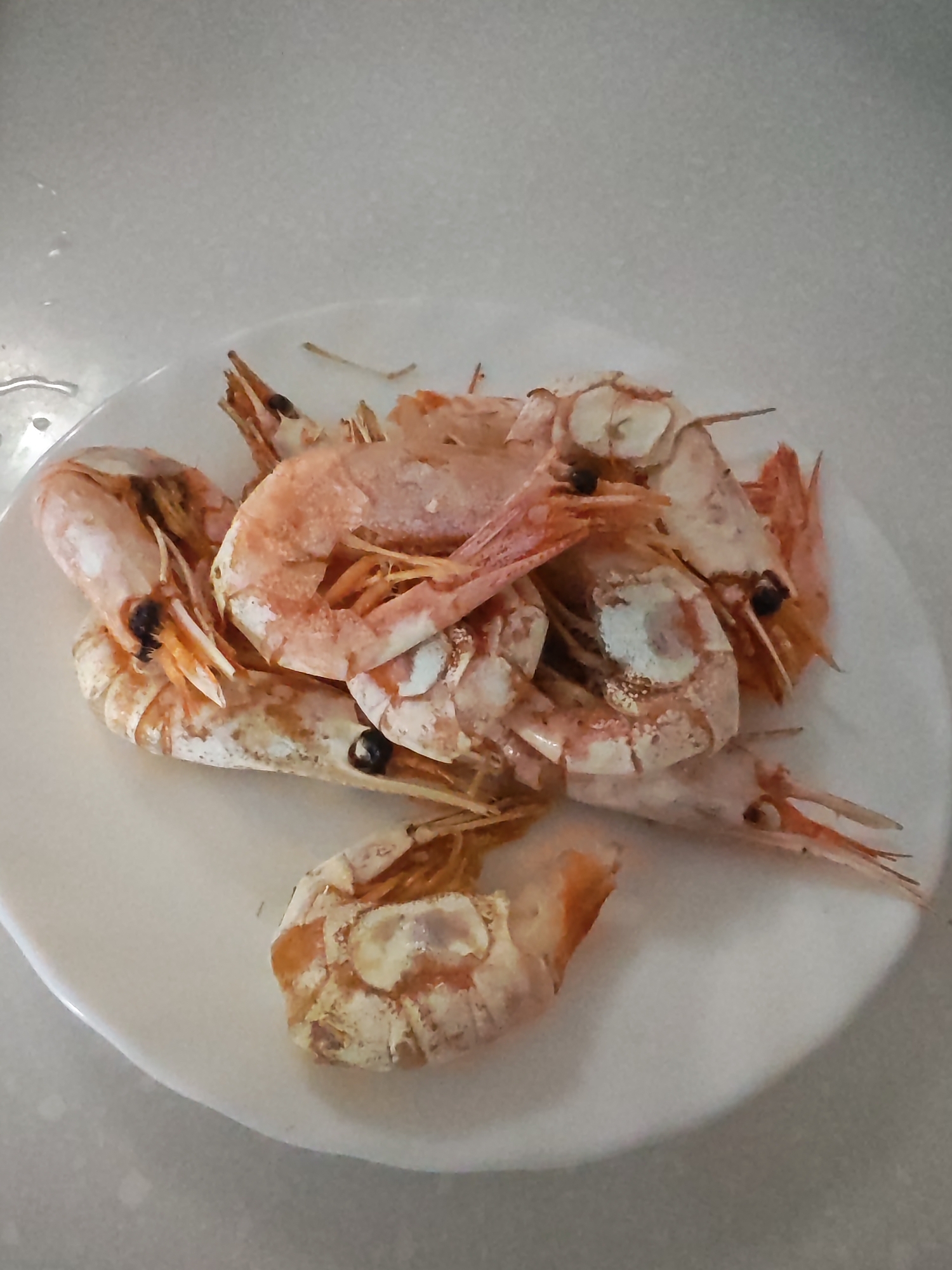 A plate of cooked shrimp sits on a light-colored surface, likely a countertop, in what appears to be a kitchen environment. The shrimp are a pale pink and white, with some showing orange hues. They are piled on a white, round plate, with their tails and heads visible. The surface the plate rests on is textured and light gray. There is no indication of the location being specifically in the city of Vladivostok, Russia, as there are no discernible landmarks or context clues to suggest this. The image focuses solely on the food item.