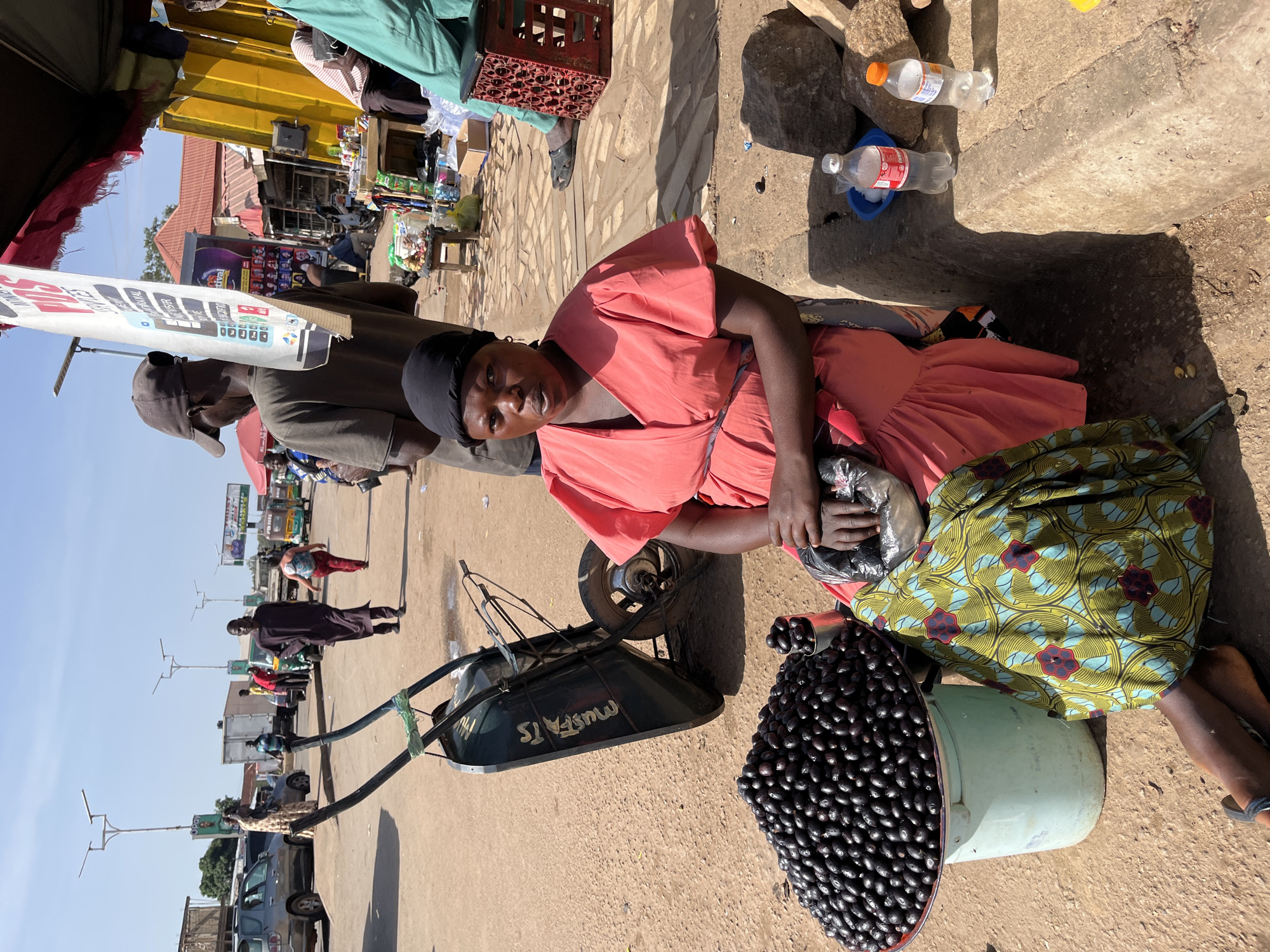 In the city of Gura Top, Nigeria, a woman sits on the ground next to a large pile of dark, oval-shaped fruits, possibly olives, displayed in a light blue bucket. She wears a coral pink dress with puffed sleeves and a black head covering. Her lower body is draped in a green, yellow, and red patterned fabric. Next to her is a wheelbarrow, and in the background, several people are walking and standing in a marketplace. Cars and trucks are visible on a dirt road under a clear blue sky.