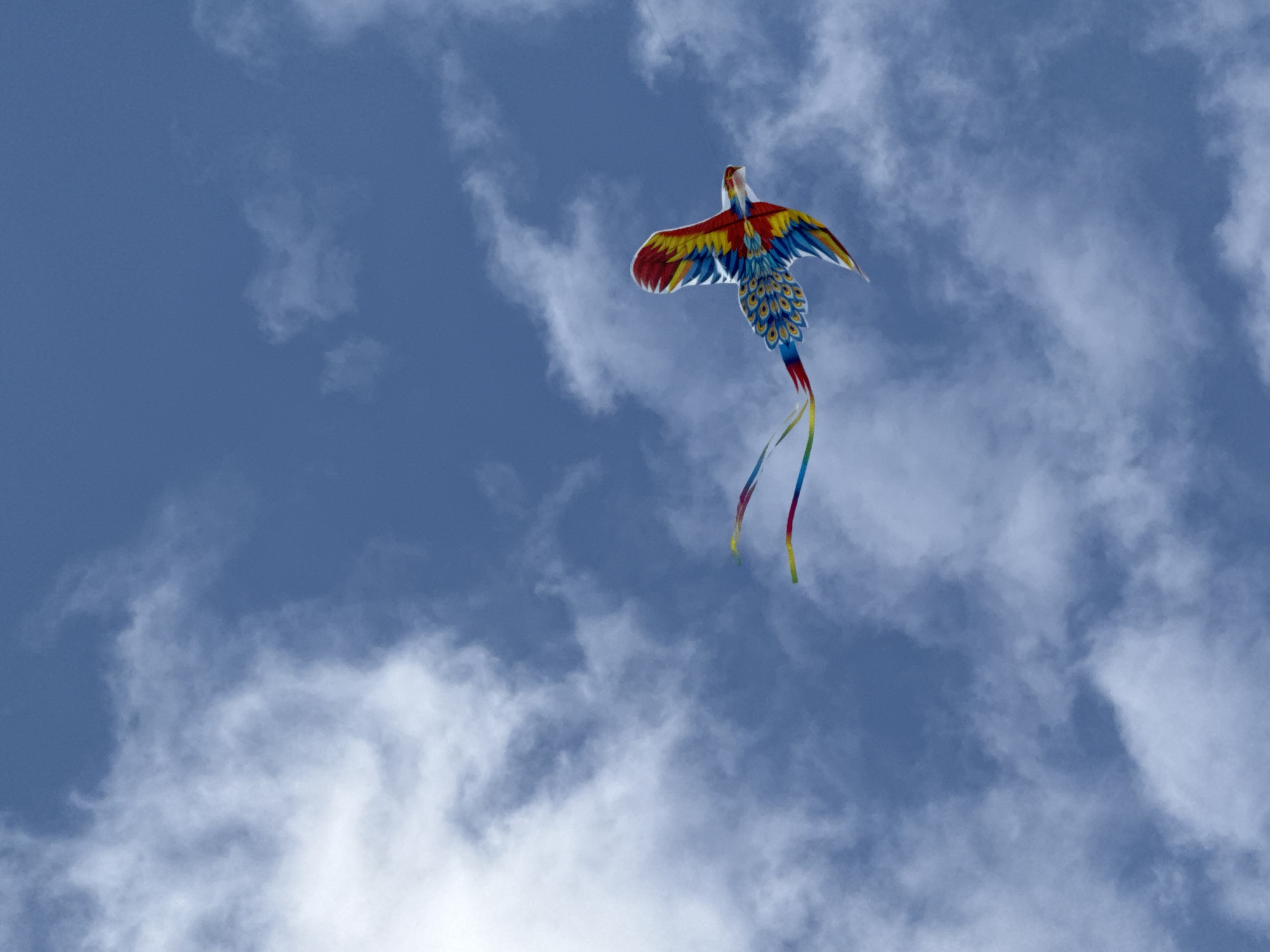 A colorful, bird-shaped kite with red, yellow, and blue plumage soars against a vibrant blue sky dotted with white clouds. The kite, designed to resemble a phoenix or peacock, has outstretched wings and a long, flowing tail composed of ribbons in shades of yellow, red, and blue. The kite is positioned in the upper right quadrant of the image. The sky takes up the majority of the frame, with clouds creating a textured background. This image does not depict any specific landmarks or settings within Da Lat, Vietnam, as the scene is entirely focused on the sky and the kite.