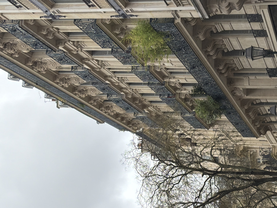 The image displays the upper and mid-levels of a multi-story Haussmannian apartment building located at 25 Rue de Penthièvre, 75008 Paris, France, under an overcast sky. The building features a light-colored stone facade with rows of continuous balconies on several floors. Each balcony is supported by decorative corbels, some intricately carved with mascarons (stylized faces), and enclosed by dark, ornate wrought-iron railings. Tall windows with light-colored shutters are visible behind the balconies. On the third continuous balcony level from the bottom, a dense cluster of vibrant green bamboo is prominently displayed, with additional smaller green foliage visible on the balcony directly above it. To the left, a large deciduous tree, currently bare of leaves, stands in the foreground, partially obscuring an adjacent building of similar architectural style. A classic black street lamp with a glass lantern is visible in the lower right quadrant of the image. No people or specific actions are discernible. The sky is uniformly light grey, indicating an overcast condition.