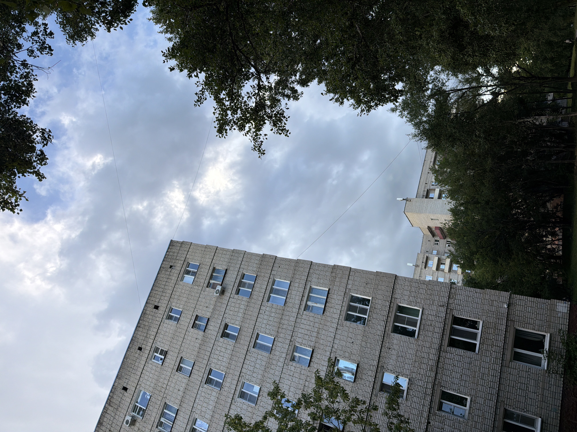 The image depicts an overcast day in a residential area of Khabarovsk, Russia. A grey, multi-story apartment building with rows of windows and air conditioning units dominates the left side of the frame. To the right and in the foreground, dense green trees with dark foliage are visible, obscuring parts of the sky and the buildings. Another, lighter colored apartment building with balconies can be seen in the background, partially visible through the trees. Power lines crisscross the sky. The overall impression is a somewhat gloomy urban landscape with natural elements.