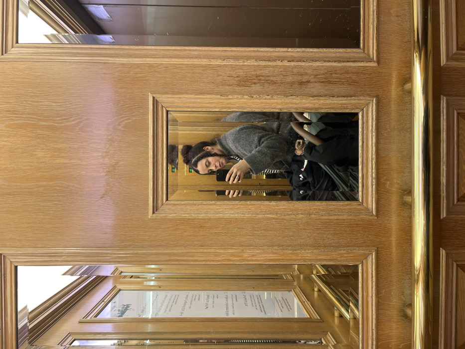 A woman with her hair in a bun takes a selfie in a mirrored elevator. She is wearing a gray sweater and holding a phone. The elevator has wooden walls and a brass handrail. A poster or sign is visible in a lower mirror panel. The reflection is slightly distorted by the mirrored surfaces and their angles. The woman is positioned in the upper mirror section.