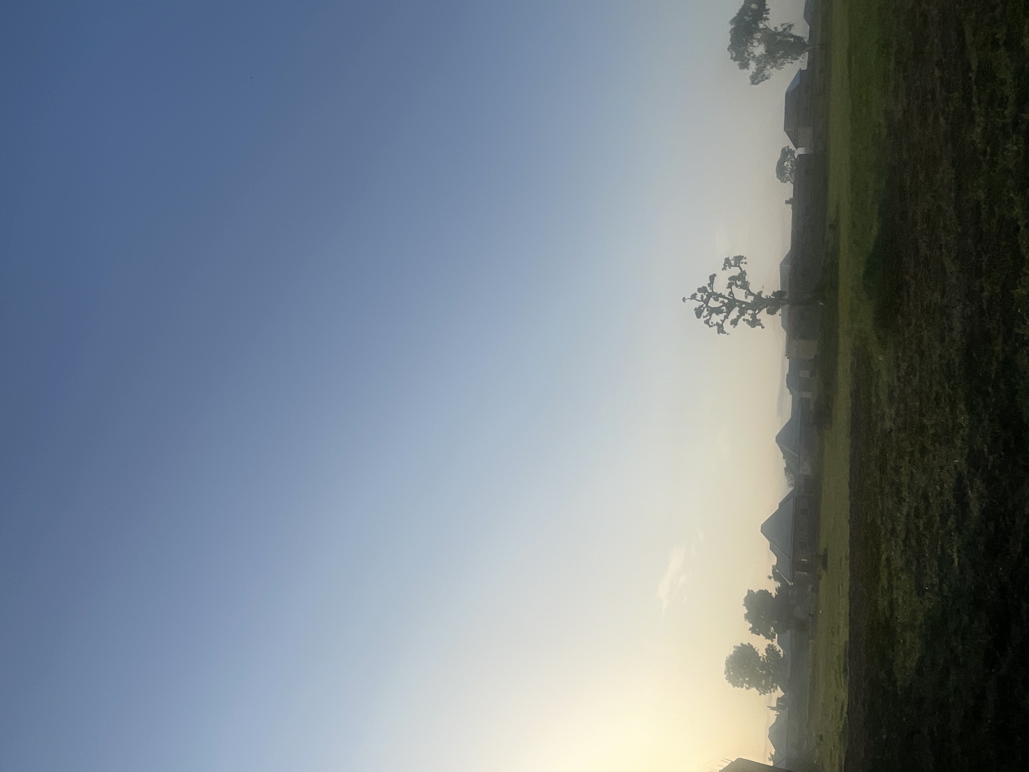 The image depicts a rural village scene in Jalingo, Nigeria, at dawn. The sky is a pale blue, transitioning to a hazy yellow at the horizon where the sun is rising. In the foreground, a field of green grass and dark soil stretches across the frame. In the mid-ground, a cluster of traditional houses with thatched roofs and some with modern tile roofs are visible, nestled among sparse trees. Two distinctive trees with unique branching patterns stand out. The overall atmosphere is tranquil and serene, with a sense of early morning mist or haze. No people are visible in the image.