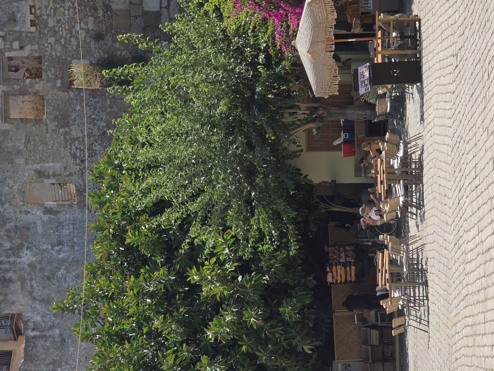 The image depicts an outdoor seating area of a restaurant or cafe in Chania, Greece. The foreground is a cobblestone plaza. In the midground, there are several tables and chairs arranged for outdoor dining. A large thatched umbrella provides shade over one of the tables. Behind the tables, there is dense green foliage from trees and plants, with a glimpse of a building with weathered stone walls and windows in the background. There are a few people seated at some of the tables, appearing to be patrons. The scene is bathed in bright sunlight, suggesting a warm day.