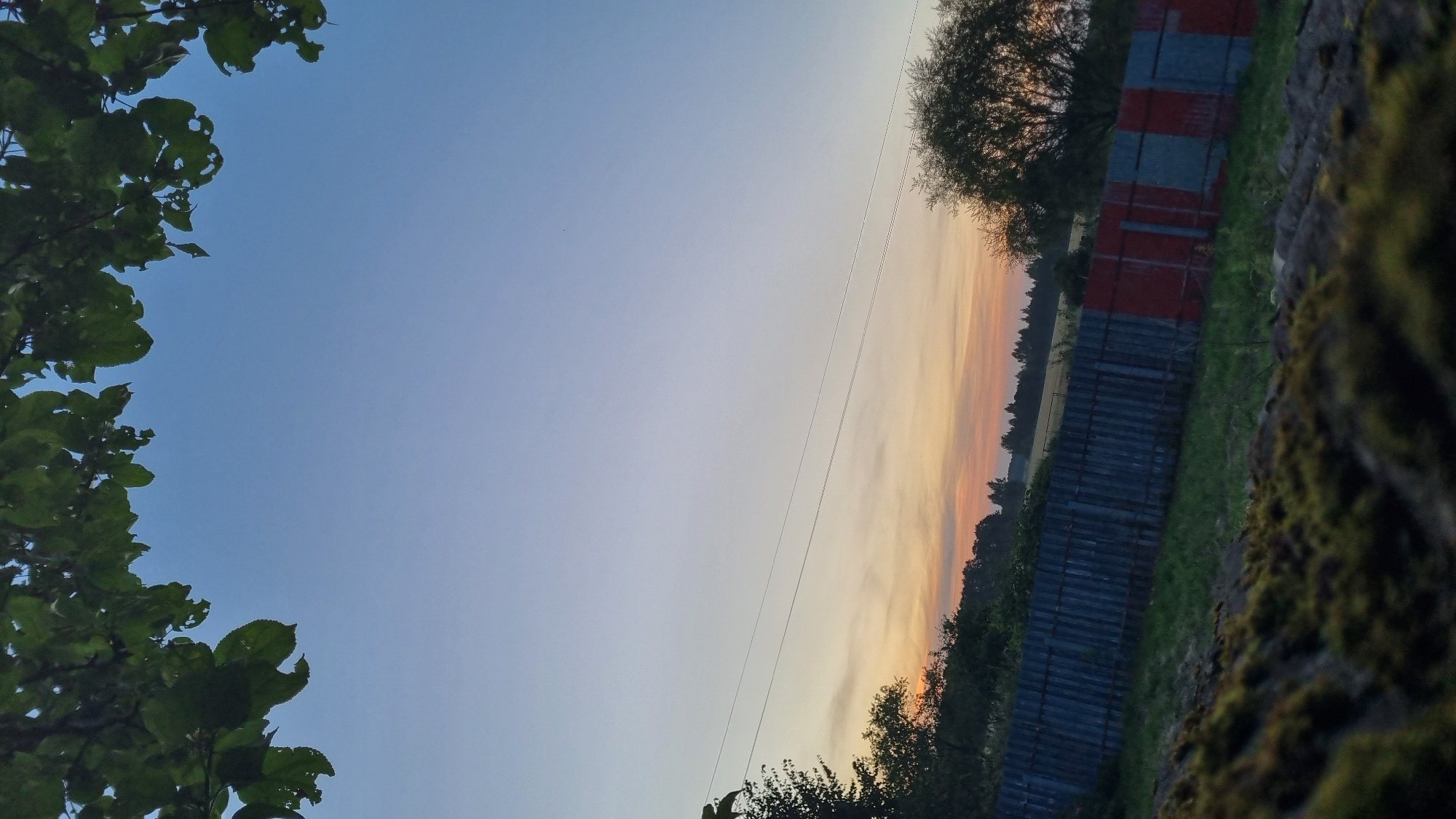 A low-angle, vertical, outdoor, medium shot captures a rural landscape at dusk. The foreground features a textured surface covered in moss, with a dark, earthy embankment. A weathered fence runs horizontally across the mid-ground, constructed from corrugated metal panels in alternating blue and red hues. Beyond the fence, a green field stretches into the distance, dotted with trees and a line of dark forest. Power lines traverse the sky above the horizon. The sky transitions from a pale blue at the top to warmer tones of orange and yellow near the horizon, indicating the setting sun. Green leaves from an unseen tree frame the top of the image.