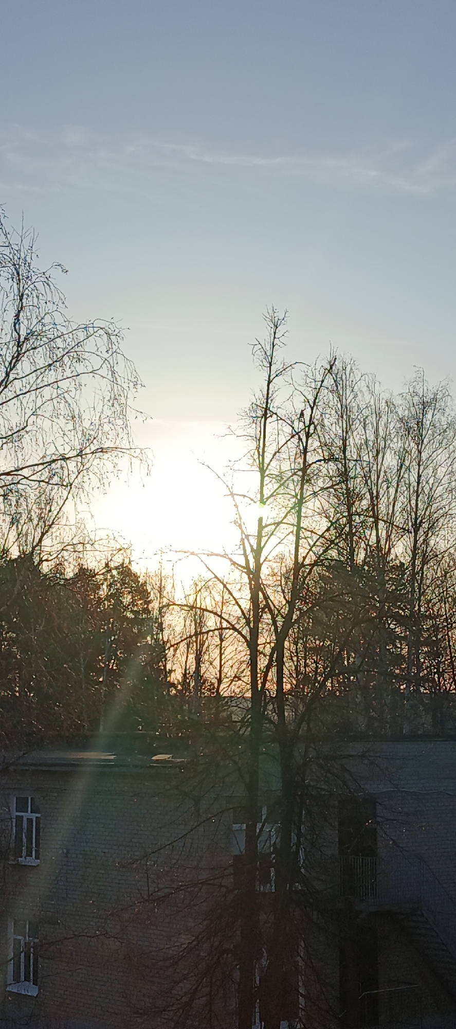 The image presents a landscape view at either sunrise or sunset, characterized by a bright, low-hanging sun, bare trees, and a brick building. The sky transitions from a soft, clear blue at the top to a brilliant white and yellow-orange hue where the sun is positioned near the horizon.
The intense brightness of the sun creates prominent lens flares, visible as green and rainbow-colored streaks extending across the lower half of the image. Numerous bare-branched trees, likely deciduous, are silhouetted against the glowing sky. Some trees are in the immediate foreground, framing the scene, while others form a dense line further back, suggesting a park or forest.
In the lower portion of the image, a multi-story brick building is partially visible. It features several windows with white frames on the left side, and a balcony with a metal railing on the right. The building's roofline is prominent across the middle ground.
The overall scene evokes a sense of calm, highlighting the stark beauty of nature in possibly winter or early spring, combined with an urban backdrop. The clear sky and distinct solar disk suggest good weather conditions. No people or visible text are present in the image. This serene view is consistent with a location such as Chaikovsky, Russia, capturing the natural light and architecture typical of the region.