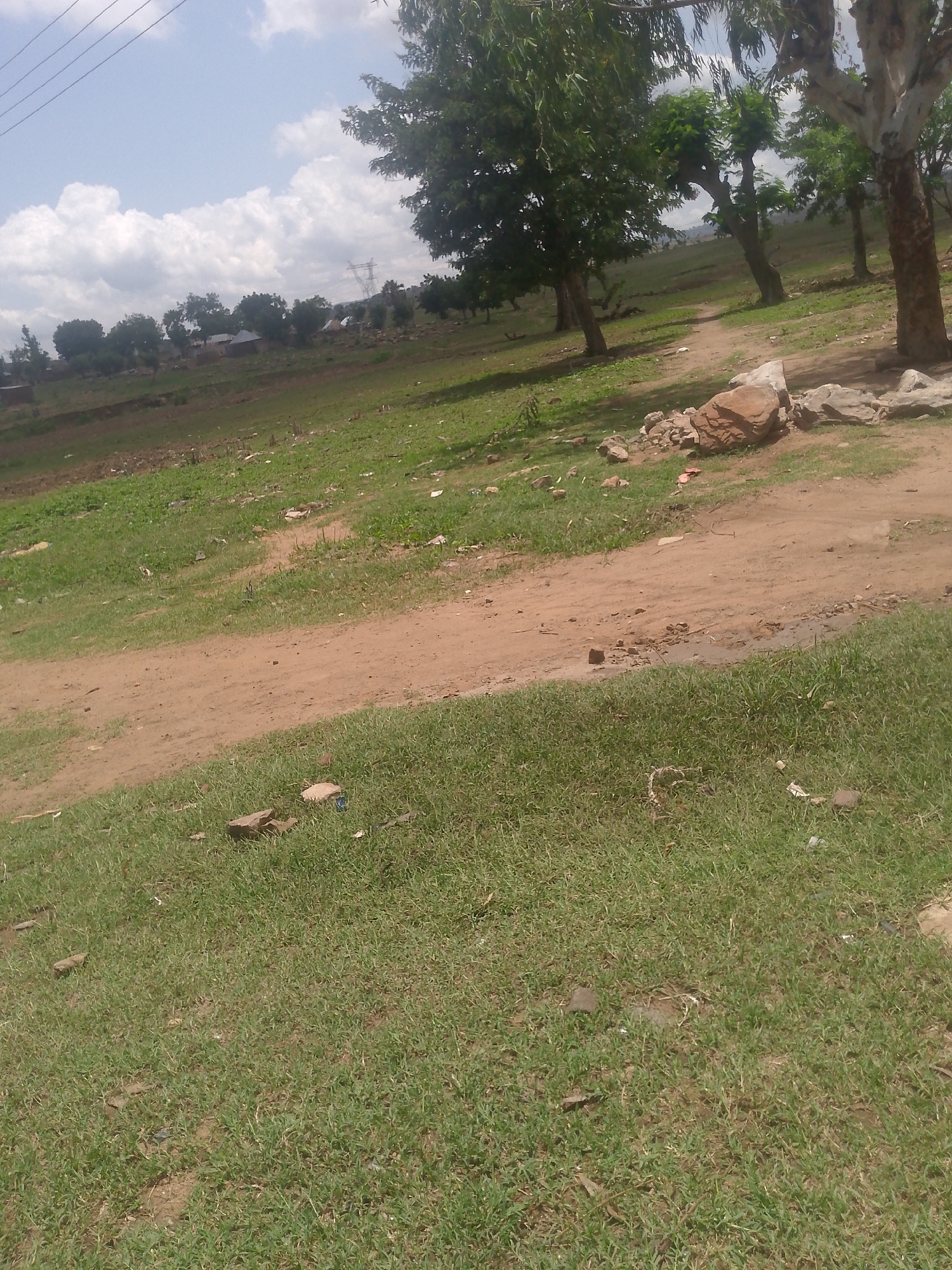 This image depicts a rural or semi-rural landscape in Chum, Nigeria, characterized by an unpaved dirt path, green vegetation, and distant structures under a partly cloudy sky.
In the foreground, a dense patch of green grass covers the lower section of the frame. Moving into the midground, a prominent, light brown dirt path traverses the scene from left to right, appearing to curve slightly upwards and branch into a smaller trail towards the right. Several rocks of varying sizes, including one large reddish-brown boulder, are positioned alongside the path on the right. Immediately adjacent to the path, there are patches of sparser grass and exposed earth, with some small debris visible.
The background features a gently sloping terrain covered with green grass and numerous trees. These trees exhibit green foliage, and several have visible, light-colored trunks. One distinct tree on the far right side of the path has a lighter, almost whitish bark. Further in the distance, a cluster of small, single-story structures with light-colored roofs can be observed, indicative of a village or settlement. Beyond these structures, a power line or electricity transmission tower is faintly visible against the horizon. The sky above is a pale blue, adorned with scattered white cumulus clouds. There are no visible people or animals in the scene.