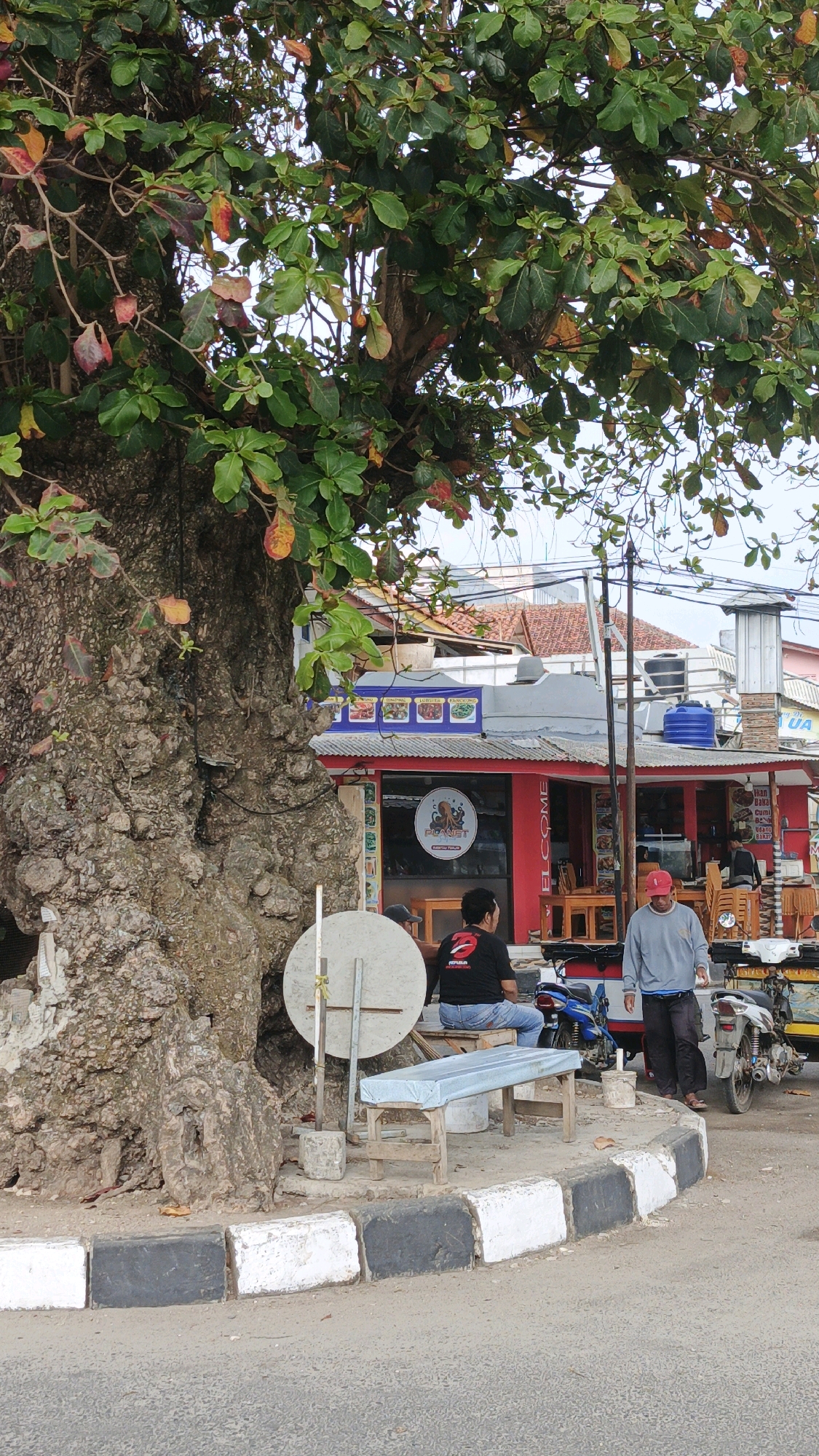 This image depicts a scene in Desa Pagandaran, Indonesia, featuring a large, gnarled tree with lush green and some red leaves in the foreground. To the right of the tree, a red building with a silver roof serves as a food stall or restaurant. A sign with the text "WELCOME" is visible on the side of the building.
In front of the building, there are several elements:
* A long, light blue bench covered with a plastic sheet is placed on the curb.
* Two men are seated on a wooden bench to the left, near the tree. One is wearing a black t-shirt with a red graphic and blue jeans, while the other is wearing a dark t-shirt and a dark cap.
* A man wearing a grey long-sleeved shirt, dark pants, and a red cap is standing to the right of the bench.
* A white motorcycle is parked behind the man in the grey shirt, facing to the right.
* Various signs and menus are displayed on the building, indicating food offerings. There are also several blue water containers on the roof of the building.
* The ground is paved with a road and a curb marked with alternating black and white rectangular blocks.
* The background shows more buildings and utility poles, typical of a semi-urban or village setting. The sky is overcast.