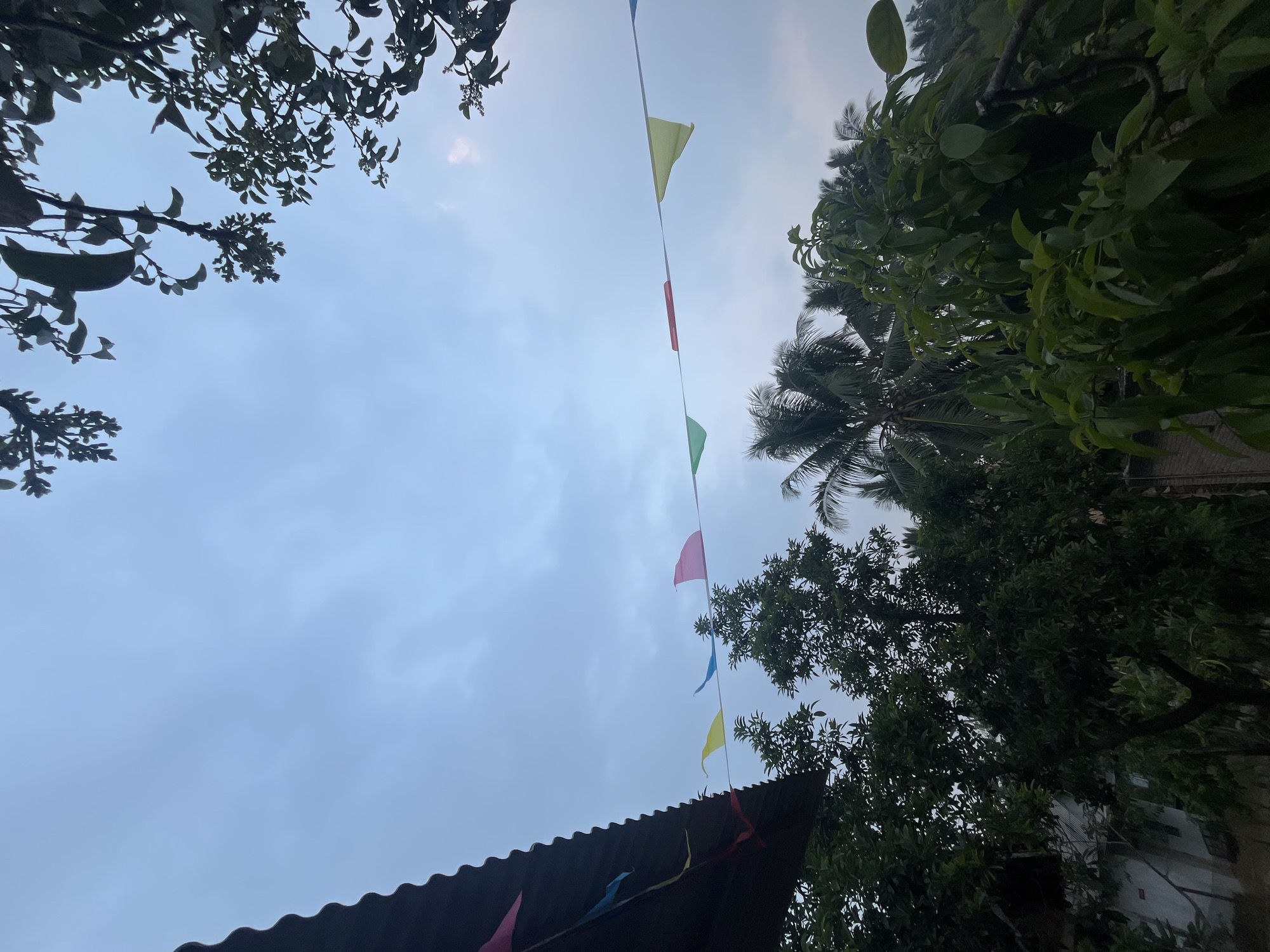 An outdoor, low-angle, medium shot captures a cloudy sky over a collection of lush green trees and palm trees, suggesting a rural or suburban setting. A corrugated metal roof juts in from the left side of the frame, casting a shadow. A string of colorful triangular flags in red, yellow, blue, and pink is strung across the sky, adding a festive touch. The foliage is dense, with leaves of varying shades of green indicating a healthy ecosystem. The overall impression is one of a peaceful, natural environment, possibly a backyard or a small park in Margodadi, Indonesia.