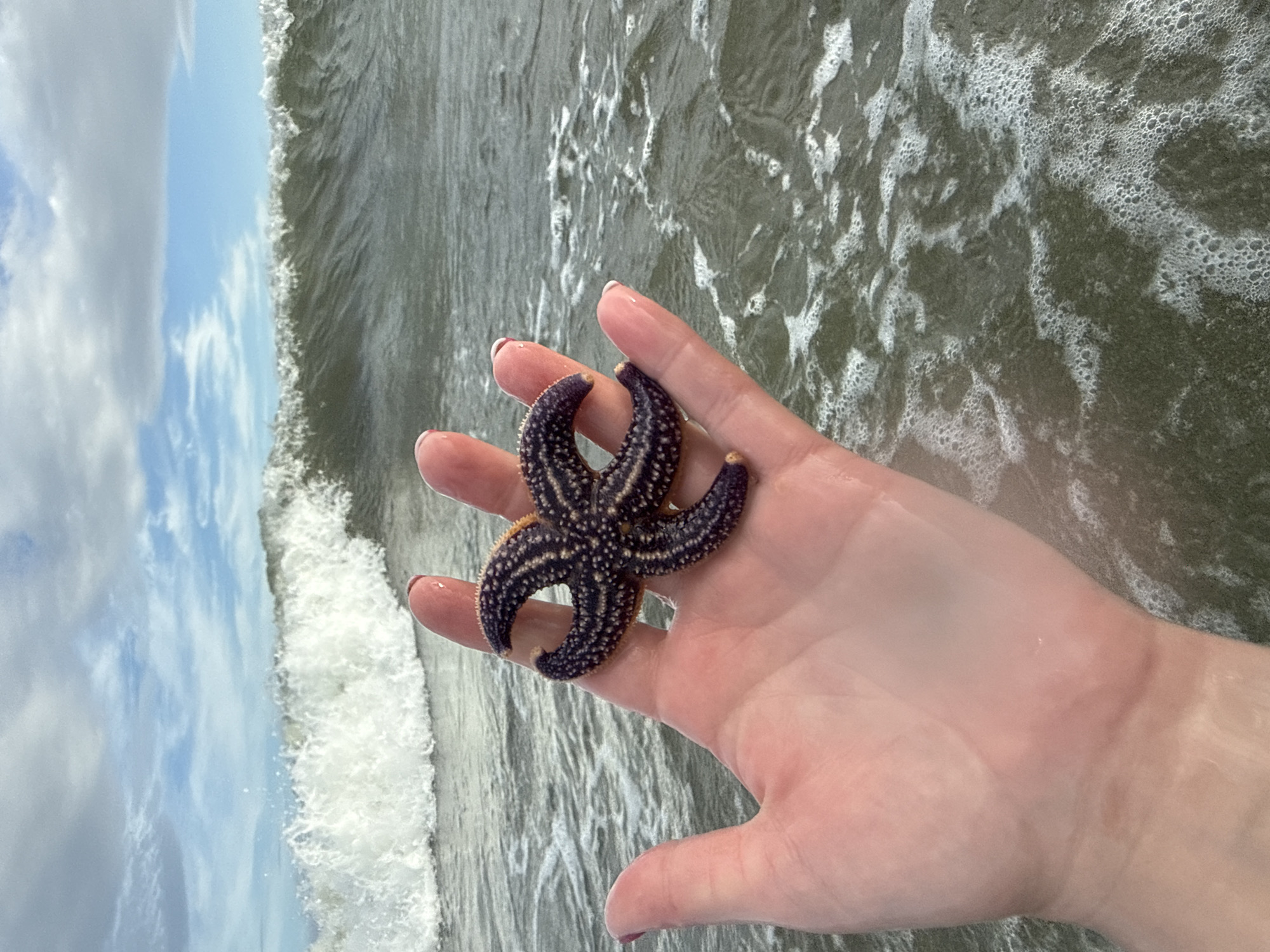 A person's hand holds a purple and yellow starfish in shallow ocean water. The water is dark green with white foam. In the background, a wave is breaking under a cloudy blue sky. The location is not identifiable as Vladivostok, Russia.