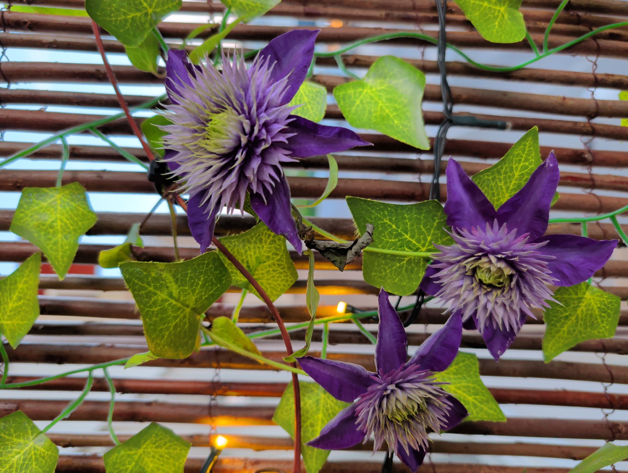 The image shows a close-up of artificial purple clematis flowers and green ivy leaves intertwined with a string of warm white lights. The arrangement is set against a background of vertical brown bamboo poles. The lighting suggests it is either early morning or late evening. The location is described as Nynäshamn, Sweden, and it appears to be an outdoor decoration on a fence or wall. There are no people or animals visible in the image.