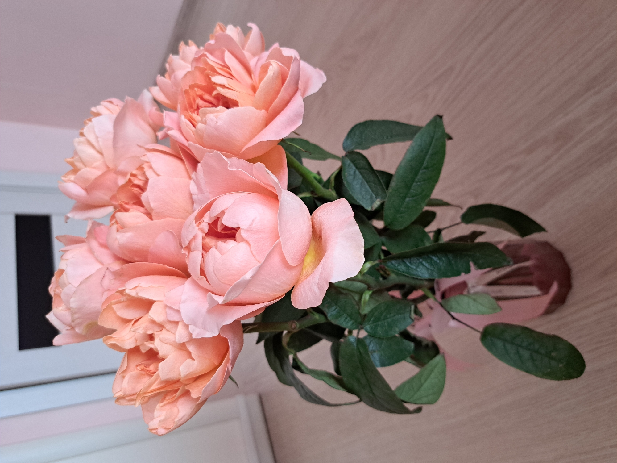 A bouquet of seven light pink roses with green leaves is displayed in a light pink vase. The vase is on a light brown wooden floor. In the background, there is a white door with pink and light blue vertical stripes, and a light pink wall. The scene is indoors. The image's metadata indicates it was taken in Irkutsk, Russia.