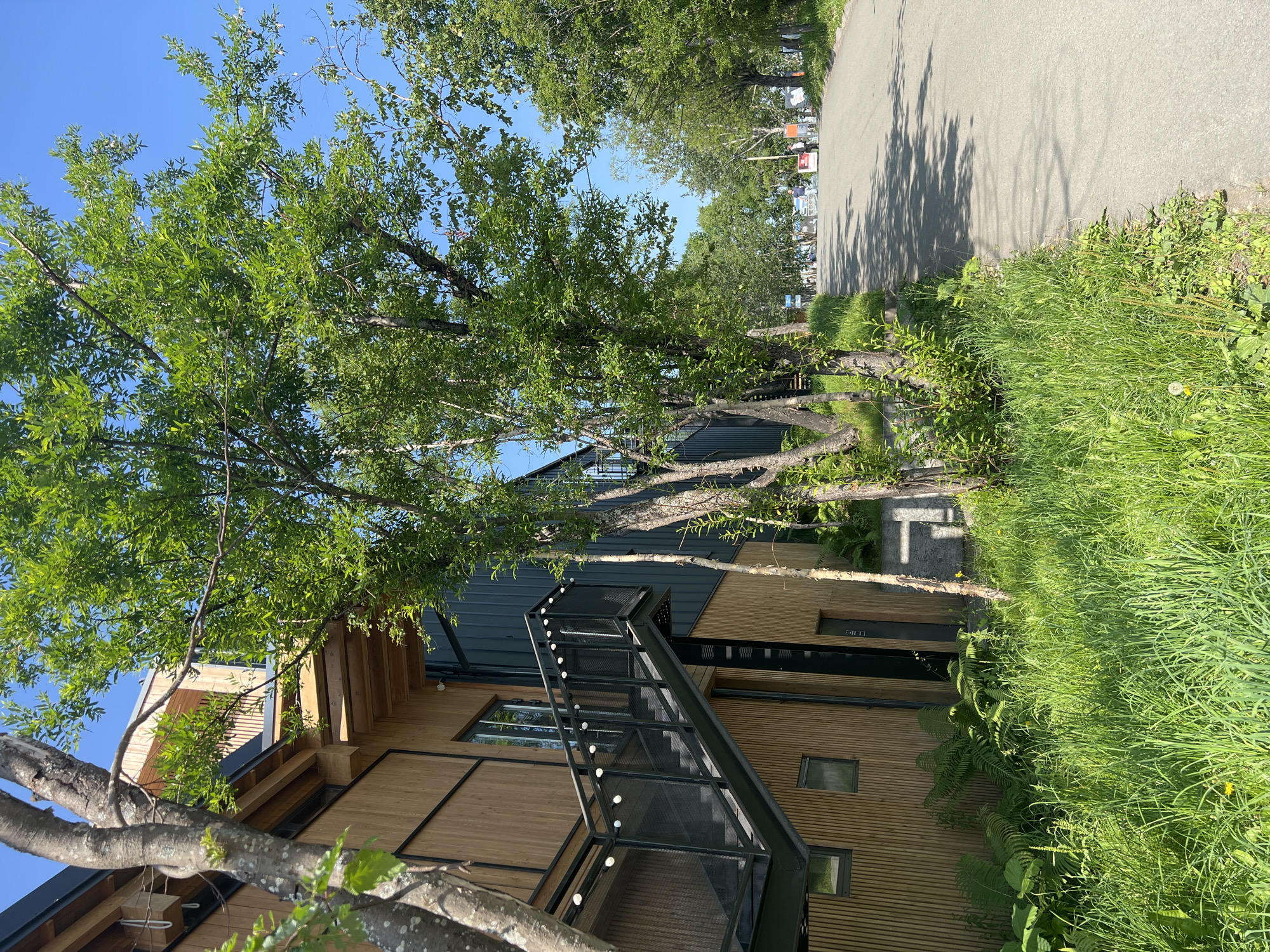 In Paratunka, Russia, a paved road curves to the right, lined with lush green grass and trees on both sides. A modern building with a wood-paneled exterior and dark metal accents stands on the left, featuring an external black metal staircase with string lights. The building has several windows, some reflecting the trees. The road recedes into the distance, where a few figures and small structures are visible. The sky is clear and blue. The scene is bathed in bright sunlight, casting shadows from the trees onto the road.