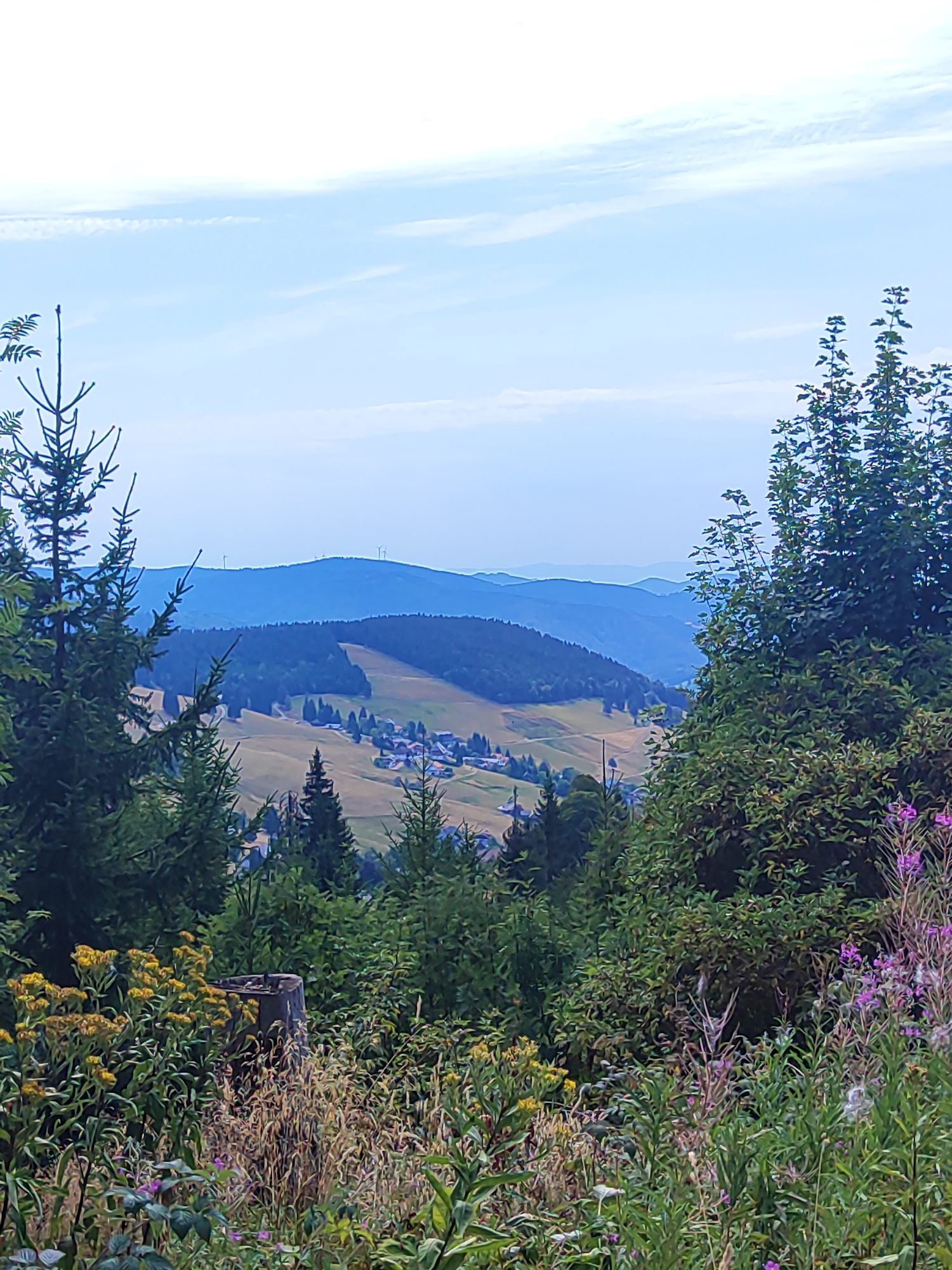 The image shows a panoramic view of a hilly landscape, likely in the vicinity of Todtnau, Germany, given the characteristic Black Forest scenery. In the foreground, dense green coniferous trees frame the scene, with some smaller deciduous trees and wildflowers. A weathered tree stump is visible amongst the vegetation. The midground reveals rolling hills with patches of green fields and darker green forests. A small village with several houses is nestled in a valley. In the far distance, layers of blue mountains recede into the horizon, with wind turbines visible on the crest of one of the furthest hills. The sky is a pale blue with wispy white clouds. The overall impression is one of a serene, natural landscape.
