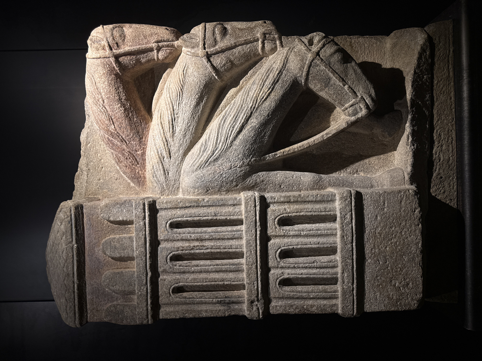 This is a stone relief sculpture depicting two horse heads, possibly part of a larger architectural element. The sculpture is carved in a rough, ancient style, with visible tool marks and wear. The horses' heads are rendered in profile, with their mouths slightly open and their manes indicated by parallel lines. They appear to be straining or in motion, with their bodies implied behind them. The lower portion of the sculpture features a decorative band with a series of horizontal grooves and raised sections, resembling a frieze or plinth. The material is a textured, light-colored stone, possibly granite or sandstone, with some reddish-brown discoloration on one of the horse's necks. The lighting creates strong shadows, highlighting the relief and texture of the carving. The sculpture is displayed against a dark, neutral background, suggesting it is an exhibit in a museum or historical site. Given the location context of Santiago de Compostela, Spain, this sculpture might be a fragment of Romanesque or medieval artwork, possibly from the cathedral or another significant building in the city. The style of carving and the depiction of horses are common in religious and secular art from the Iberian Peninsula during these periods. There is no visible text in the image.