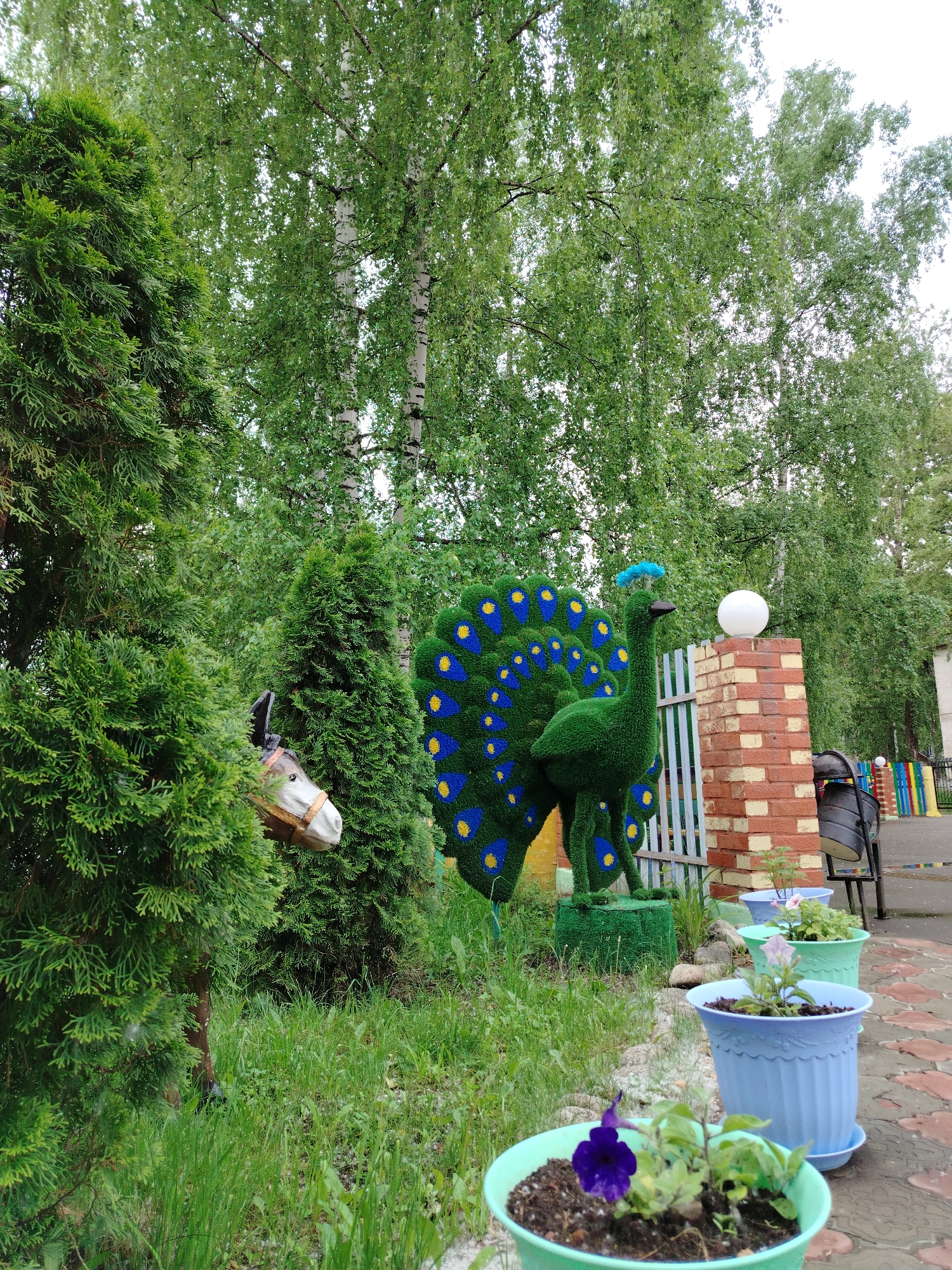 The image displays an outdoor garden or park setting, likely in Chaikovsky, Russia, adorned with decorative elements and lush foliage. In the foreground, a row of potted plants in light blue and mint green containers lines a paved pathway. One pot prominently features a vibrant purple petunia-like flower.
The midground is dominated by topiary-style figures. To the left, partially hidden behind a dense evergreen shrub, is the head of a white and brown donkey statue with a bridle. Central to the scene is a large, meticulously crafted peacock topiary, formed from green artificial grass or similar material. Its fanned tail is decorated with striking blue and yellow circular patterns, and a small blue plume adorns its head.
Adjacent to the peacock, a brick pillar stands, topped with a spherical white light fixture. Behind this pillar, a dark-colored trash can is visible, along with a low, colorful fence painted in horizontal stripes of red, blue, yellow, and green, suggesting a play area or a kindergarten boundary.
The background is characterized by a dense canopy of tall trees, featuring light green leaves and the distinctive white bark of birch trees, which stretch upwards and obscure the sky. The scene is illuminated by soft, natural light, indicating daytime, possibly an overcast spring or summer day. There are no people or specific activities taking place, creating a peaceful and decorative landscape. No text is visible in the image.