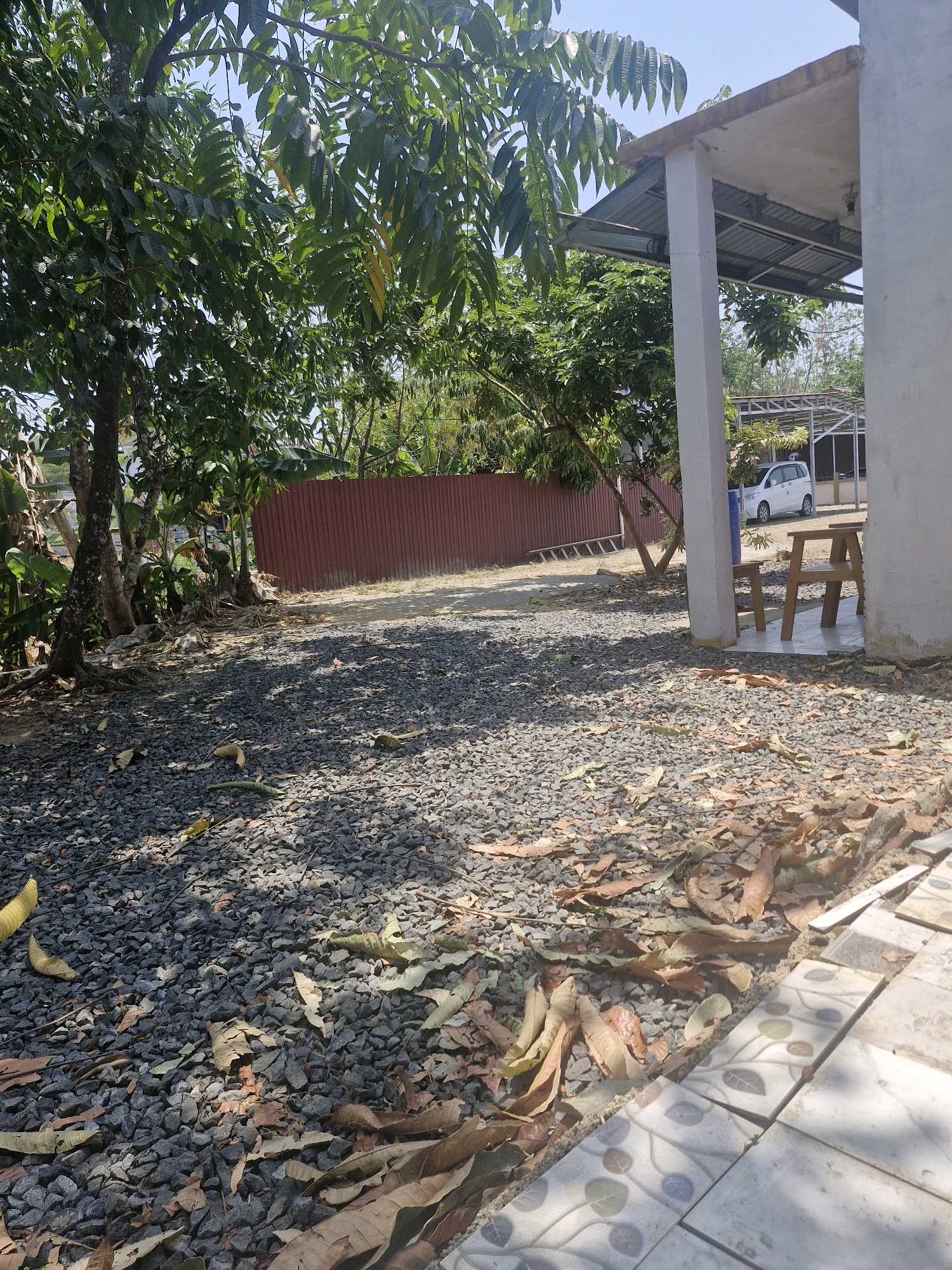 The image depicts an outdoor scene with a gravel ground covered in fallen leaves, situated in a tropical environment. A large tree with dense foliage dominates the left side of the frame, its branches casting shadows across the ground. In the background, a reddish-brown corrugated metal fence runs horizontally. To the right, a covered patio area with a concrete pillar and roof is visible. A white minivan is parked in the distance under a separate open-sided structure. Wooden chairs and a small table are positioned on the tiled floor of the patio. The ground is a mix of dark grey gravel and scattered dry leaves, with some green foliage peeking through from the tree on the left. The lighting suggests a sunny day with dappled sunlight and shade. This scene is located in Rantau, Indonesia, which is known for its tropical climate and lush vegetation, consistent with the elements present in the photograph.