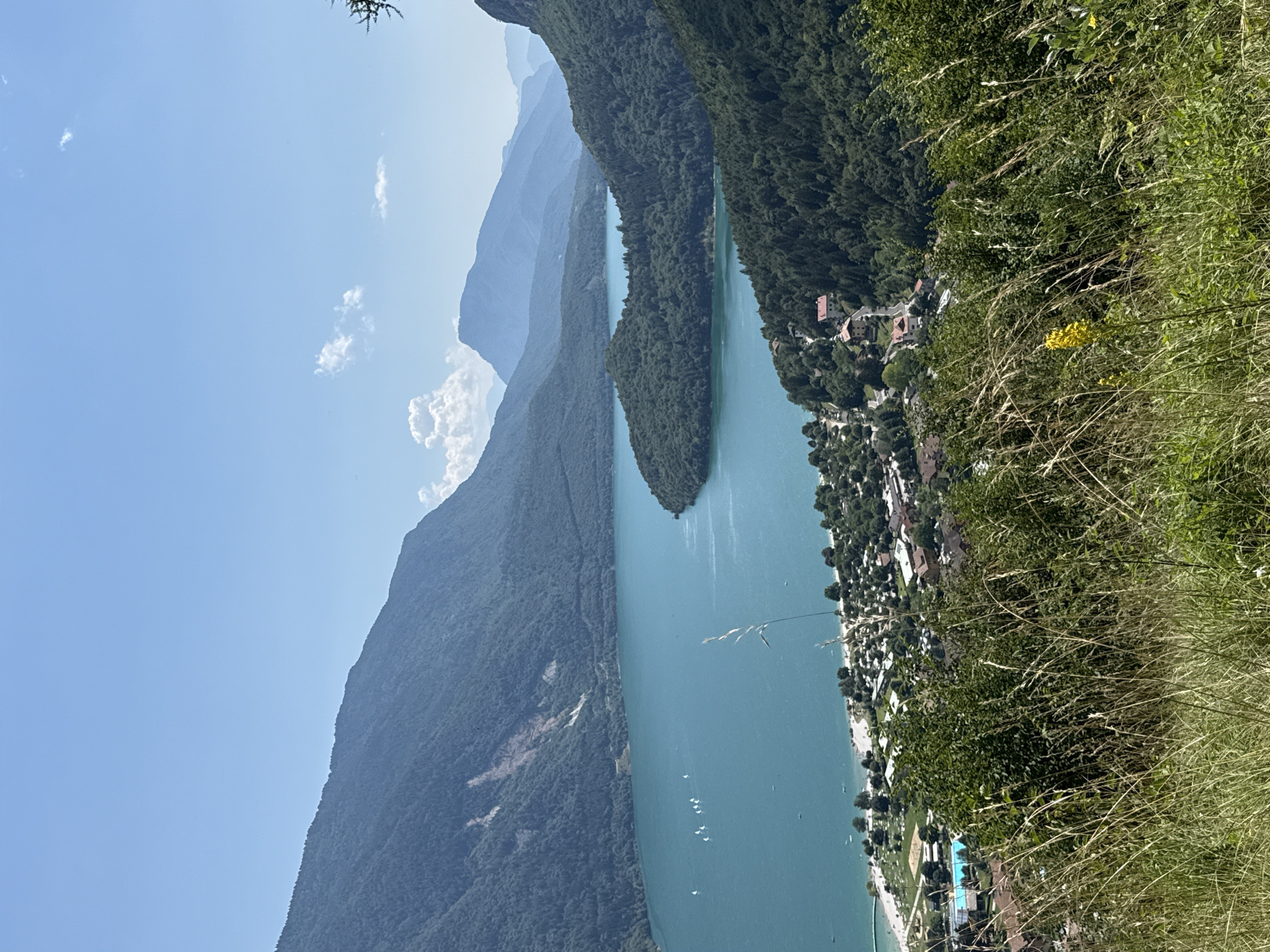 A high-angle, eye-level shot captures a panoramic view of Molveno Lake in Molveno, Italy, on a clear day. The vibrant turquoise water of the lake dominates the center of the frame, with several small sailboats visible on its surface. The shoreline features a sandy beach lined with a campground and a small town with red-roofed buildings nestled among lush green trees. Steep, tree-covered mountains flank the lake, their slopes disappearing into a hazy blue sky dotted with wispy white clouds. The foreground is filled with tall, dry grass and a single yellow wildflower.