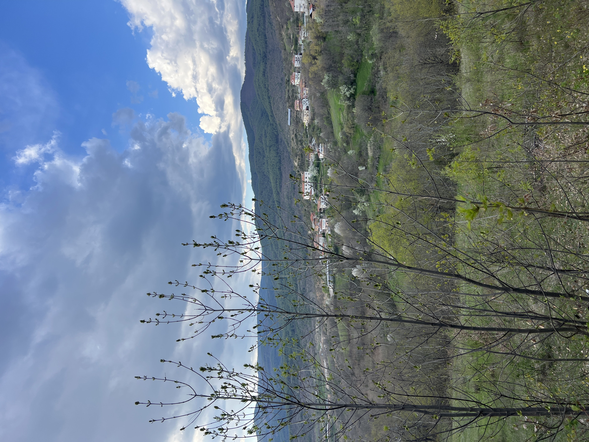 The image captures a view in Kribul, Bulgaria, featuring a hillside village nestled against a mountain. The sky is a mix of blue and dramatic clouds. Bare tree branches with budding leaves dominate the foreground. The village consists of houses and other buildings clustered along the mountainside. Lush greenery and trees cover the terrain between the village and the viewer.