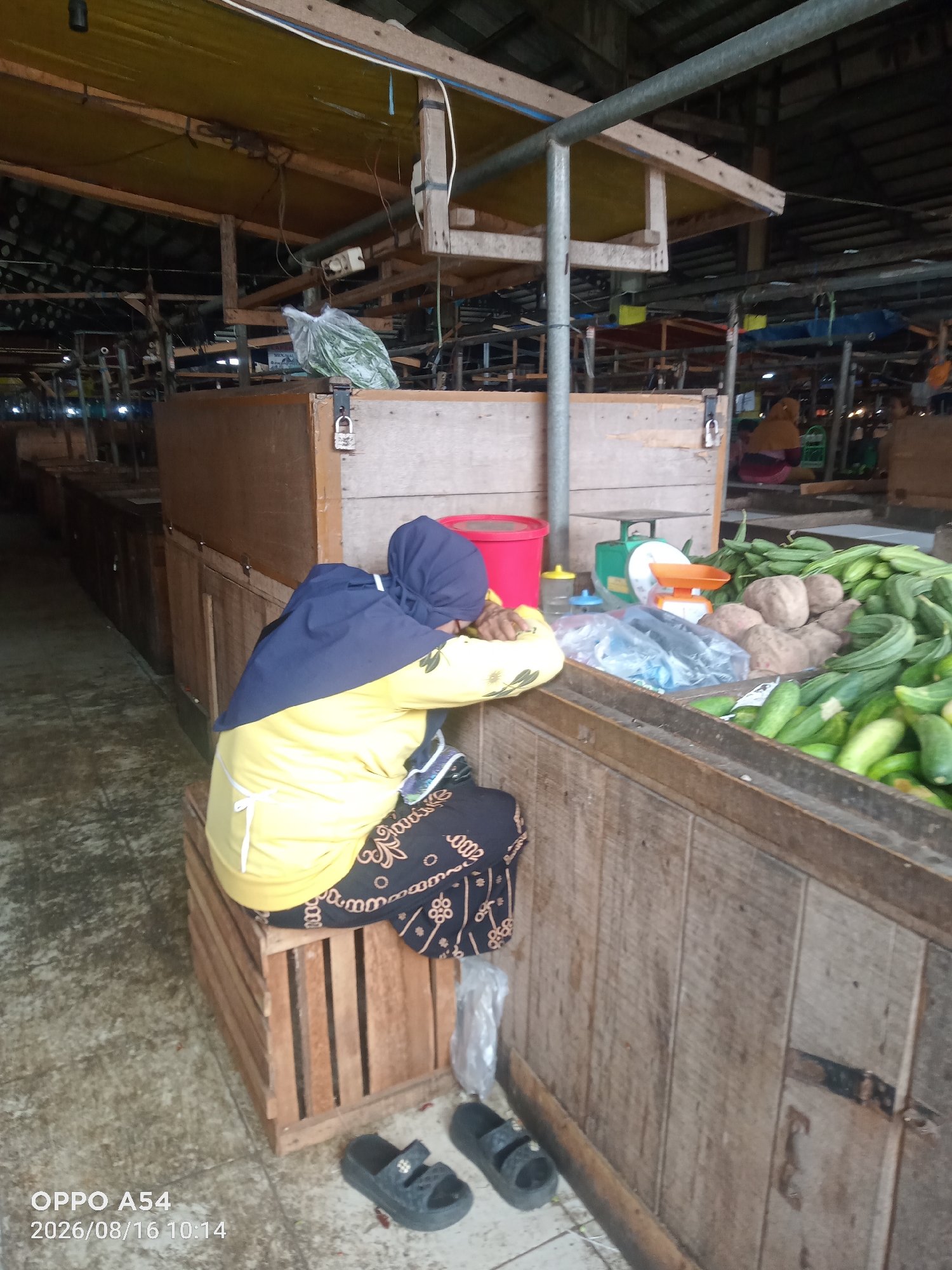 An overhead shot shows a woman wearing a yellow long-sleeved shirt and a blue hijab, her head resting on her arms on a wooden stall in an outdoor market. She is sitting on a wooden crate, and her legs are crossed, covered by patterned black pants. In front of her, on the stall, are vegetables, including cucumbers and other green items, as well as some potatoes. A red bucket and a weighing scale are also visible on the stall. The market appears to be covered by a yellow tarp, and wooden beams and structures are visible in the background. The ground is made of concrete. The timestamp in the lower-left corner indicates the image was taken on August 16, 2026, at 10:14 AM. The location is Jambi, Indonesia.