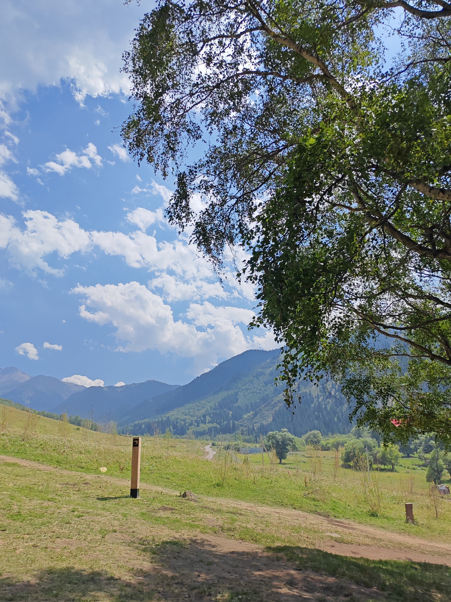 A wide, vertical, natural outdoor shot captures a verdant, mountainous landscape under a bright, cloudy sky. In the foreground, a path winds through a grassy slope. A single wooden post with a black base and a directional arrow is planted in the ground to the left of the path. The middle ground reveals a valley dotted with trees and a winding road, leading to a backdrop of lush green mountains that recede into the distance. The upper portion of the image is dominated by a brilliant blue sky filled with fluffy white clouds, with the branches and leaves of a large tree, partially obscuring the sky in the upper right quadrant. The overall scene conveys a sense of serene, undeveloped natural beauty.